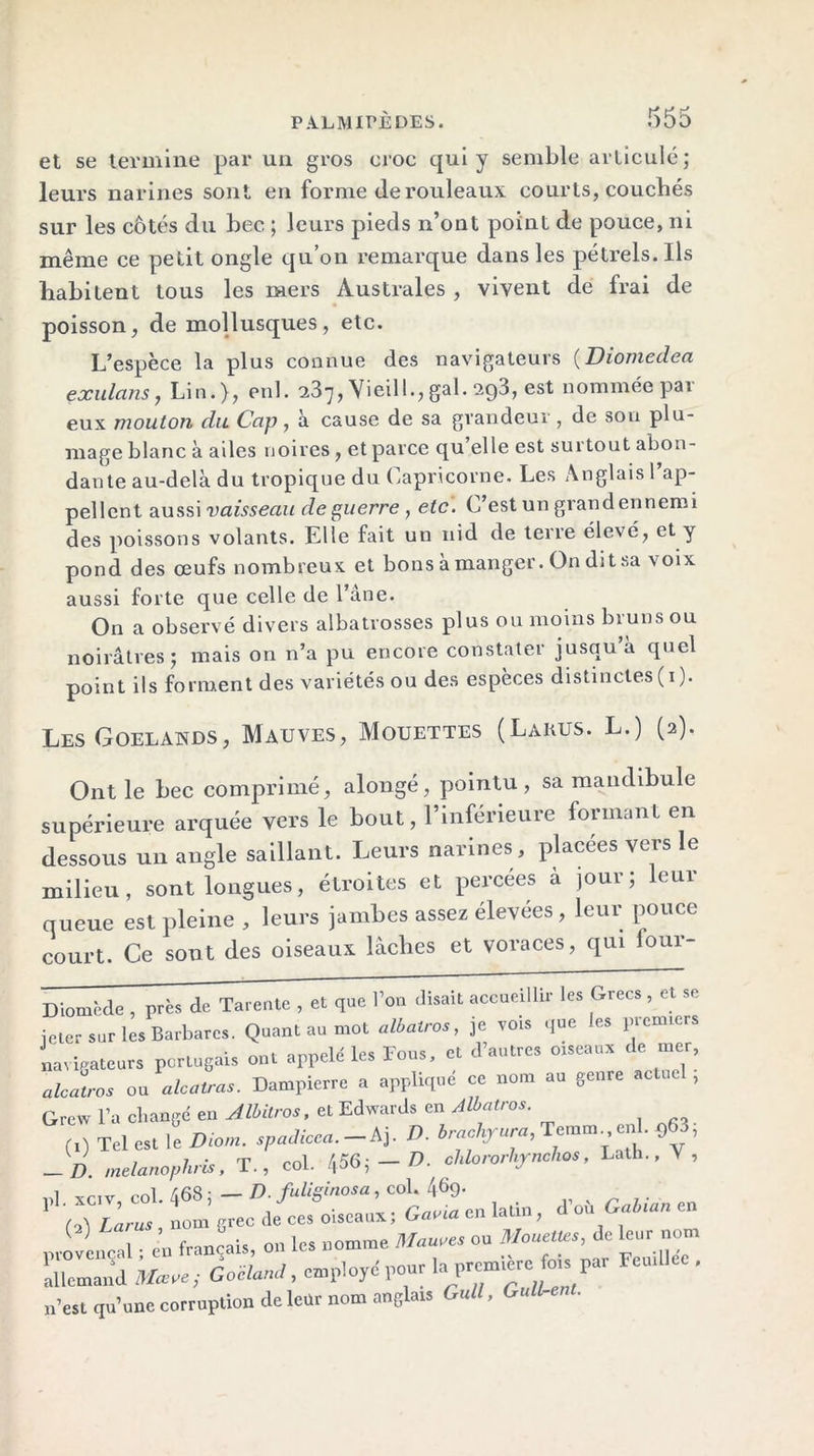 et se termine par un gros croc qui y semble articulé; leurs narines sont en forme de rouleaux courts, couchés sur les côtés du bec ; leurs pieds n’ont point de pouce, ni même ce petit ongle qu’on remarque dans les pétrels. Ils habitent tous les mers Australes , vivent de frai de poisson, de mollusques, etc. L’espèce la plus connue des navigateurs (Diomedea exulans, Lin.), oui. 237, VieilI.,gai. 2q3, est nommée par eux mouton du Cap, à cause de sa grandeur, de son plu- mage blanc à ailes noires, et parce qu’elle est surtout abon- dante au-delà du tropique du Capricorne. Les Anglais 1 ap- pellent aussi vaisseau deguerre, etc. C’est un grand ennemi des poissons volants. Lite fait un nid de tene élevé, et y pond des œufs nombreux et bons a manger. On dit sa \oix aussi forte que celle de l’âne. On a observé divers albatrosses plus ou moins bruns ou noirâtres; mais on n’a pu encore constater jusqu’à quel point ils forment des variétés ou des espèces distinctes(i). Les Goélands, Mauves, Mouettes (Laiojs. L.) (2). Ont le bec comprimé, alongé, pointu, sa mandibule supérieure arquée vers le bout, l’inférieure formant en dessous un angle saillant. Leurs narines , placées vers le milieu, sont longues, étroites et percées à jour; leur queue est pleine , leurs jambes assez élevées, leur pouce court. Ce sont des oiseaux lâches et voraces, qui four- Diomède , près de Tarente , et que bon disait accueillir les Grecs , et se ieter sur le. Barbares. Quant au mot albatros, je vois que les premiers navigateurs portugais ont appelé les Fous, et d’autres oiseaux de mer, alcatros ou alcatras. Dampierre a appliqué ce nom au genre actuc , Grew l’a changé en Albitros, et Edwards en Albatros. (,) Tel est le Dion,, spadieen— Aj. D. brachyura, Téton,.cnl 90->, -D. melanophris, T., col. 1,56;-D. chlororhynchos. Lath., V, i t.RR- D fulisinosa , col. 4^9* ’’ 'A' L’arm nom grec de ces oiseaux; Gaoiaen latin, d’où GalUn en provençal ; en français, on les nomme Mauves ou **«..* allemand Mœoe ; Goéland, employé pour la prem.ero to par Femllee, n’est qu’une corruption de leür nom anglais Gull, Guü-eni.