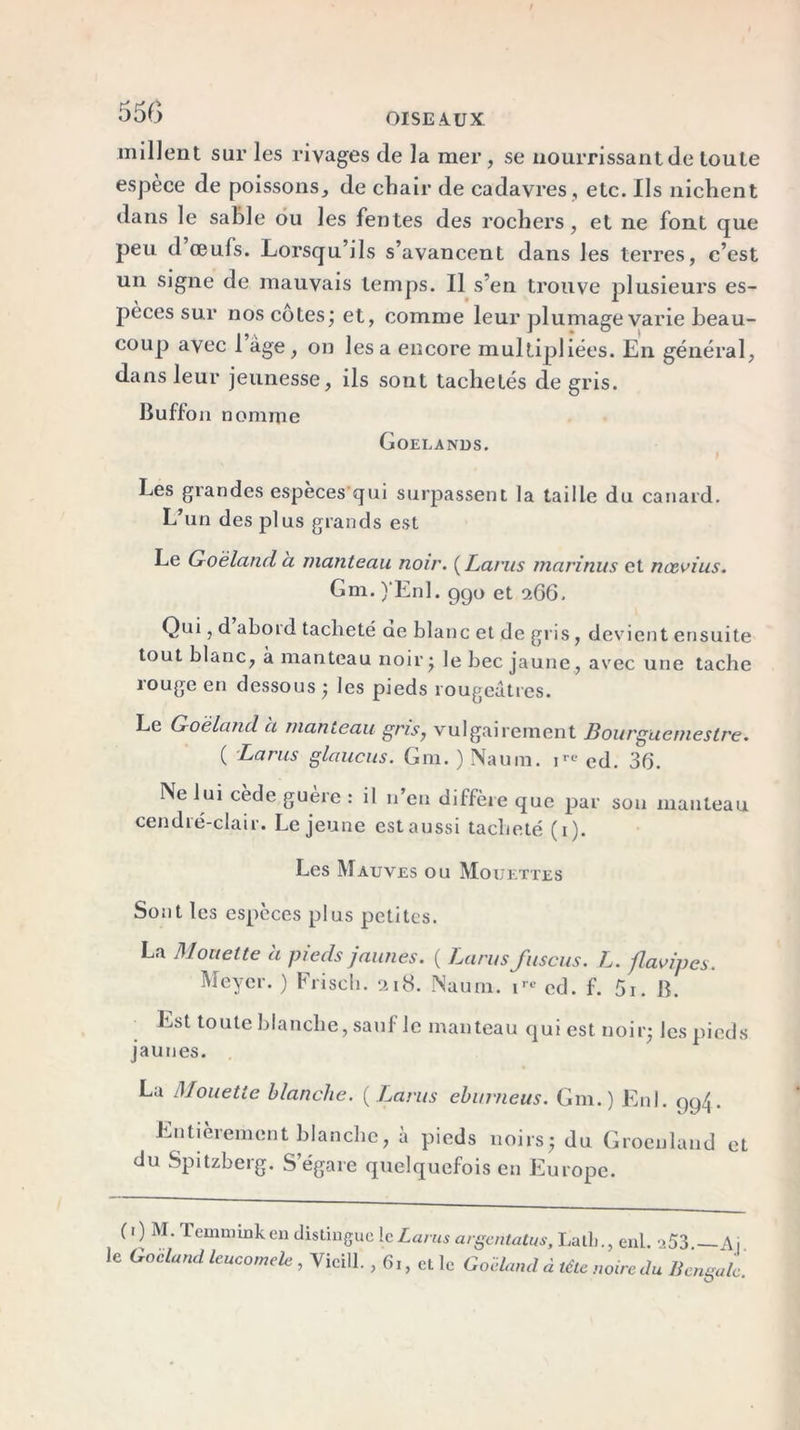 millent sur les rivages de la mer, se nourrissant de toute espèce de poissons, de chair de cadavres , etc. Ils nichent dans le sable ou les fentes des rochers, et ne font que peu d œufs. Lorsqu’ils s’avancent dans les terres, c’est un signe de mauvais temps. Il s’en trouve plusieurs es- pèces sur nos cotes; et, comme leur plumage varie beau- coup avec 1 âge, on les a encore multipliées. En général, dans leur jeunesse, ils sont tachetés de gris. Buffon nomme Goélands. Les grandes espèces qui surpassent la taille du canard. L’un des plus grands est Le Goéland a manteau noir. ( Larus marinus et nœvius. Gm. )‘Enl. ggo et 266. Qui, d aboi d tacheté ae blanc et de gris, devient ensuite tout blanc, à manteau noir; le bec jaune, avec une tache rouge en dessous ; les pieds rougeâtres. Le Goéland et manteau gris, vulgairement Bourguemestre. ( Larus glaucus. Gm. ) Naum. irt ed. 36. Ne lui cède guère : il n’eu diffère que par sou manteau cendré-clair. Lejeune est aussi tacheté (1). Les Mauves ou Mouettes Sont les espèces plus petites. La Mouette a pieds jaunes. ( Larus fusons. L. flavipes. Meyer. ) Frisch. 218. Naum. 1™ cd. f. 5i. B. Est toute blanche, saul le manteau qui est noir; les pieds jaunes. La Mouette blanche. (Larus eburneus. Gm.) Ënl. gg4_ Entièrement blanche, à pieds noirs; du Groenland et du Spitzberg. S’égare quelquefois en Europe. ( 1 ) M- 3 emmink en distingue !c Larus argentatus, Latli., enl. >53 A1 le Goéland leucomele, Vieill., 61, elle Goéland à tête noire du Bengale.