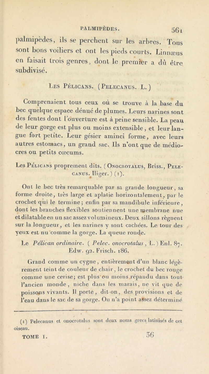 palmipèdes, ils se perchent sur les arbres. Tous sont bons voiliers et ont les pieds courts. Linnæus en faisait trois genres, dont le premier a dû être subdivisé. Les Pélicans. (Pelecanus. L. ) Comprenaient tous ceux où se trouve à la base du bec quelque espace dénué de plumes. Leurs narines sont des fentes dont l ouverture est à peine sensible. La peau de leur gorge est plus ou moins extensible , et leur lan- gue fort petite. Leur gésier aminci forme, avec leurs autres estomacs, un grand sac. Ils n’ont que de médio- cres ou petits cæcums. Les Pélicans proprement dits. (Onocrotalus, Briss., Pele- canus. lliger. ) (i). Ont le bec très remarquable par sa grande longueur, sa forme droite, très large et aplatie horizontalement, par le crochet qui le termine; enfin par sa mandibule inférieure, dont les branches flexibles soutiennent une membrane nue et dilatable en un sac assez volumineux. Deux sillons régnent sur la longueur, et les narines y sont cachées. Le tour des yeux est nu comme la gorge. La queue ronde. Le Pélican ordinaire. ( Pelec. onocrotalus , L. ) Enl. 87. Edw. 92. Frisch. 186. Grand comme un cygne, entièrement d’un blanc légè- rement teint de couleur de chair, le crochet du bec rouge comme une cerise; est plus ou moins répandu dans tout l’ancien monde, niche dans les marais, ne vit que de poissons vivants. Il porte , dit-on, des provisions et de l’eau dans le sac de sa gorge. On n’a point assez déterminé (1) Pelecanus et onocrotalus sont deux noms grecs latinisés de cet oiseau. TOME I. 56