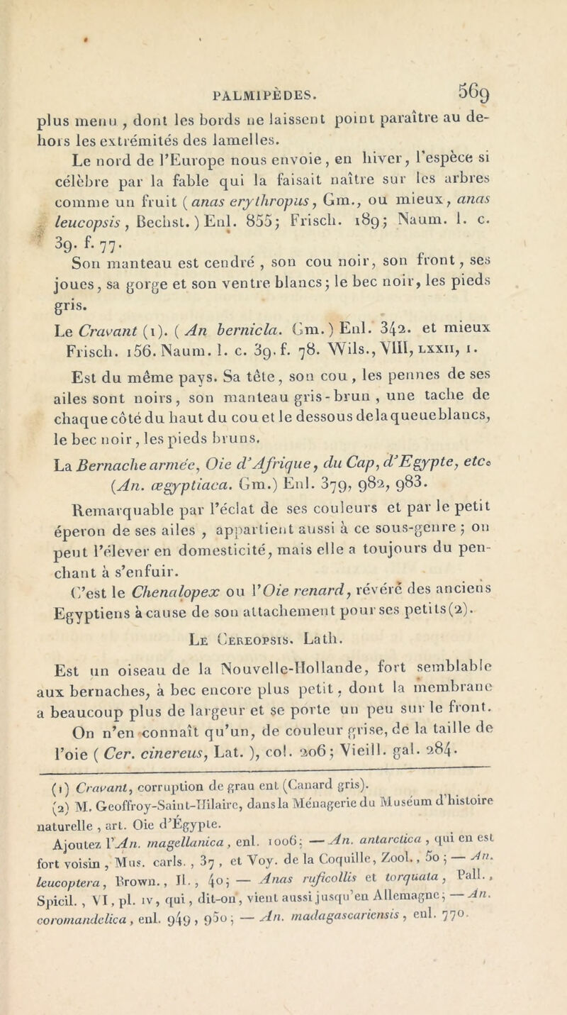 plus menu , dont les bords ne laissent point paraître au de- hors les extrémités des lamelles. Le nord de l’Europe nous envoie, en hiver, l’espèce si célèbre par la fable qui la faisait naître sur les arbres comme un fruit (anas erythropus, Gin., ou mieux, anas leucopsis , Bechst. ) Eni. 855; Frisch. 189; Naum. 1. c. 39. f. 77. Son manteau est cendré , son cou noir, son front, ses joues, sa gorge et son ventre blancs; le bec noir, les pieds gris. Le Cramant (1). ( An bernicla. Gm.)Enl. 342. et mieux Frisch. i56. Naum.l. c. 3g. f. 78. Wils., VIII, lxxii, i. Est du même pays. Sa tête, son cou, les pennes de ses ailes sont noirs, son manteau gris - brun , une tache de chaque côté du haut du cou et le dessous delaqueuoblancs, le bec noir, les pieds bruns. La Bernaclie armée, Oie d’Afrique, du Cap, d Egypte, etCc {An. œgyptiaca. Gm.) En!. 379, 982, 983. Remarquable par l’éclat de ses couleurs et par le petit éperon de ses ailes , appartient aussi à ce sous-genre ; ou peut l’élever en domesticité, mais elle a toujours du pen- chant à s’enfuir. C’est le Chenalopex ou 11 2 * * * * 7Oie renard, révéré des anciens Egyptiens à cause de son attachement pour ses petits(2). Le Cereopsis. Lath. Est un oiseau de la Nouvelle-FIollande, fort semblable aux bernaches, à bec encore plus petit, dont la membrane a beaucoup plus de largeur et se porte un peu sur le front. On n’en connaît qu’un, de couleur grise, de la taille de l’oie ( Cer. cinereus, Lat. ), col. 206; Vieil 1. gai. 284. (1) Cravanl, corruption de grau ent (Canard gris). (2) M. Geoffroy-Saint-IIilaire, dans la Ménagerie du Muséum d histoire naturelle , art. Oie d’Égypte. Ajoutez Y An. magetlanica , enl. 1006; —An. antarclica , qui en est fort voisin , Mus. caris. , 37 , et Voy. de la Coquille, Zool., 5o ; — An. leucoptera, Brown., II., 4°; — Anas rufcollis et torquala, Pall.. Spicil. , VI, pl. iv, qui, dit-on, vient aussi jusqu’en Allemagne; An. coromandclica, enl. cj4y , <po, — An. madagascariensis, enl. 770.