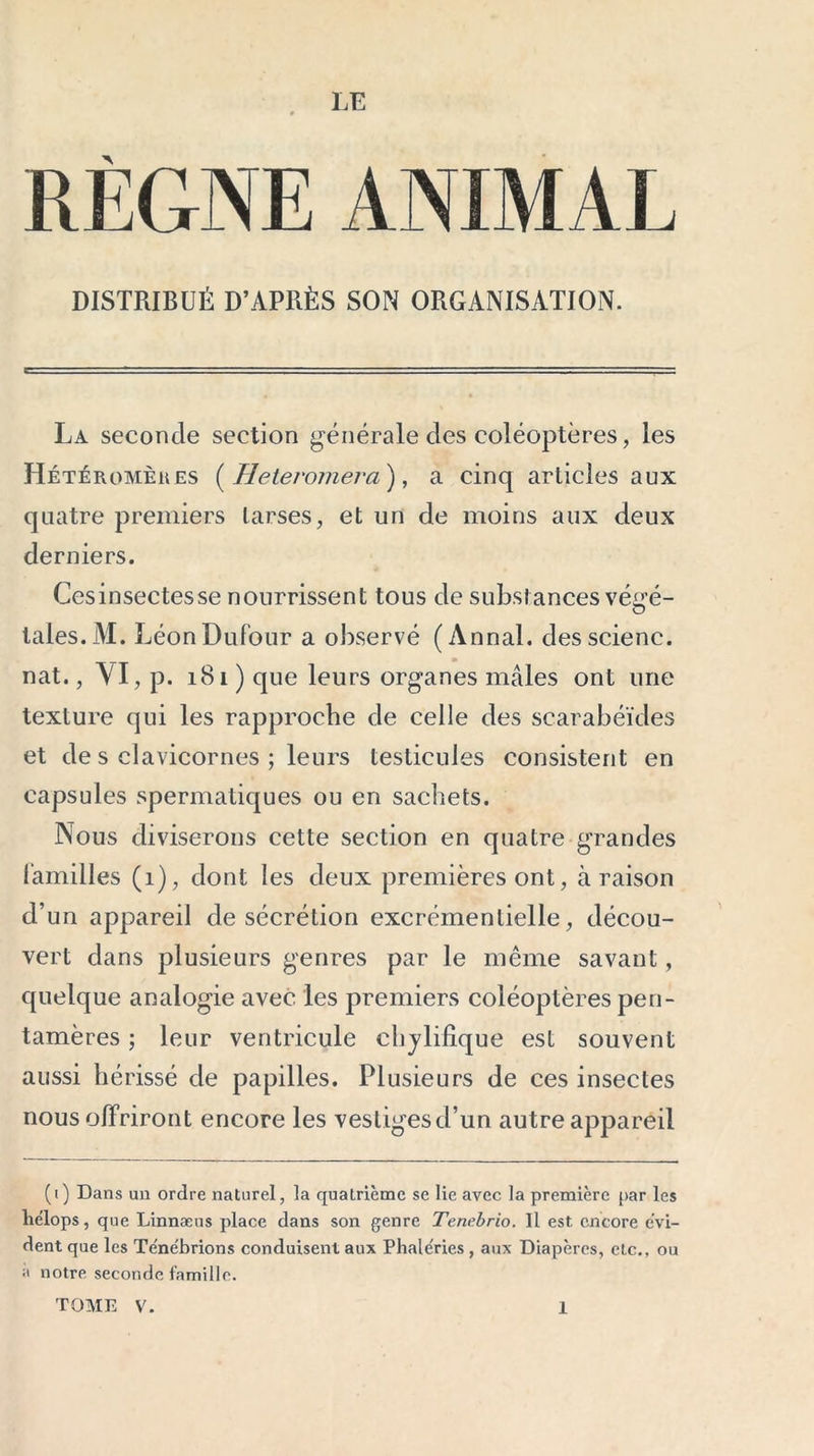 REGNE ANIMAL DISTRIBUÉ D’APRÈS SON ORGANISATION. La seconde section générale des coléoptères, les Hétéromèues ( Hetero?nei'a), a cinq articles aux quatre premiers tarses, et un de moins aux deux derniers. Cesinsectesse nourrissent tous de substances vé<ré- O taies. M. Léon Dufour a observé (Annal, desscienc. nat., VI, p. 181 ) que leurs organes mâles ont une texture qui les rapproche de celle des scarabéïdes et de s clavicornes ; leurs testicules consistent en capsules spermatiques ou en sachets. Nous diviserons cette section en quatre grandes familles (1), dont les deux premières ont, à raison d’un appareil de sécrétion excrémentielle, décou- vert dans plusieurs genres par le même savant, quelque analogie avec les premiers coléoptères pen- tamères ; leur ventricule chylifîque est souvent aussi hérissé de papilles. Plusieurs de ces insectes nous offriront encore les vesligesd’un autre appareil (i) Dans un ordre naturel, la quatrième se lie avec la première par les hélops, que Linnæus place dans son genre Tenebrio. Il est encore évi- dent que les Te'nébrions conduisent aux Phale'ries , aux Diapères, etc., ou a notre seconde famille.