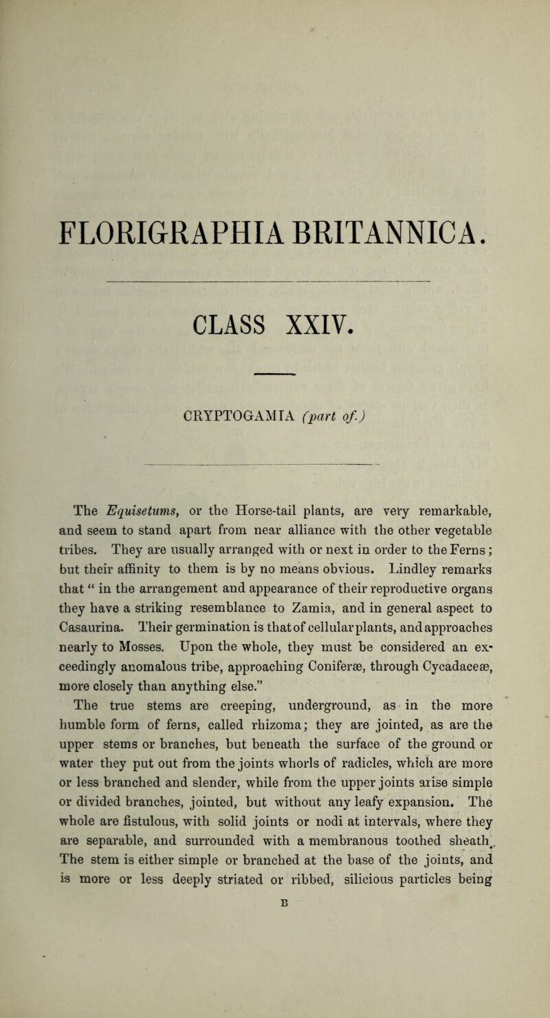 FLORIGRAPHIA BRITANNIC A CLASS XXIV. CRYPTOGAM TA (part of.) The Equisetums, or the Horse-tail plants, are very remarkable, and seem to stand apart from near alliance with the other vegetable tribes. They are usually arranged with or next in order to the Ferns; but their affinity to them is by no means obvious. Lindley remarks that “ in the arrangement and appearance of their reproductive organs they have a striking resemblance to Zamia, and in general aspect to Casaurina. Their germination is that of cellular plants, and approaches nearly to Mosses. Upon the whole, they must be considered an ex- ceedingly anomalous tribe, approaching Coniferse, through Cycadacese, more closely than anything else.” The true stems are creeping, underground, as in the more humble form of ferns, called rhizoma; they are jointed, as are the upper stems or branches, but beneath the surface of the ground or water they put out from the joints whorls of radicles, which are more or less branched and slender, while from the upper joints arise simple or divided branches, jointed, but without any leafy expansion. The whole are fistulous, with solid joints or nodi at intervals, where they are separable, and surrounded with a membranous toothed sheath. The stem is either simple or branched at the base of the joints, and is more or less deeply striated or ribbed, silicious particles being