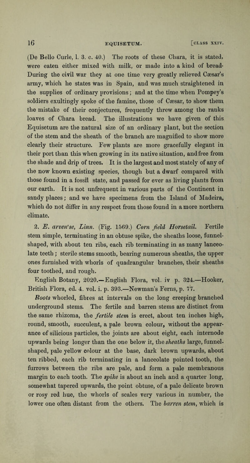 (De Bello Curie, 1. 3. c. 40.) The roots of these Chara, it is stated, were eaten either mixed with milk, or made into a kind of bread- During the civil war they at one time very greatly relieved Caesar’s army, which he states was in Spain, and was much straightened in the supplies of ordinary provisions; and at the time when Pompey’s soldiers exultingly spoke of the famine, those of Caesar, to show them the mistake of their conjectures, frequently threw among the ranks loaves of Chara bread. The illustrations we have given of this Equisetum are the natural size of an ordinary plant, but the section of the stem and the sheath of the branch are magnified to show more clearly their structure. Few plants are more gracefully elegant in their port than this when growing in its native situation, and free from the shade and drip of trees. It is the largest and most stately of any of the now known existing species, though but a dwarf compared with those found in a fossil state, and passed for ever as living plants from our earth. It is not unfrequent in various parts of the Continent in sandy places; and we have specimens from the Island of Madeira, which do not differ in any respect from those found in a more northern climate. 2. E. arven'se, Linn. (Fig. 1569.) Corn field Horsetail. Fertile stem simple, terminating in an obtuse spike, the sheaths loose, funnel- shaped, with about ten ribs, each rib terminating in as many lanceo- late teeth ; sterile stems smooth, bearing numerous sheaths, the upper ones furnished with whorls of quadrangular branches, their sheaths four toothed, and rough. English Botany, 2020.—English Flora, vol. iv p. 324.—Hooker, British Flora, ed. 4. vol. i. p. 393.—Newman’s Ferns, p. 77. Boots whorled, fibres at intervals on the long creeping branched underground stems. The fertile and barren stems are distinct from the same rhizoma, the fertile stem is erect, about ten inches high, round, smooth, succulent, a pale brown colour, without the appear- ance of silicious particles, the joints are about eight, each internode upwards being longer than the one below it, the sheaths large, funnel- shaped, pale yellow colour at the base, dark brown upwards, about ten ribbed, each rib terminating in a lanceolate pointed tooth, the furrows between the ribs are pale, and form a pale membranous margin to each tooth. The spike is about an inch and a quarter long, somewhat tapered upwards, the point obtuse, of a pale delicate brown or rosy red hue, the whorls of scales very various in number, the lower one often distant from the others. The barren stem, which is