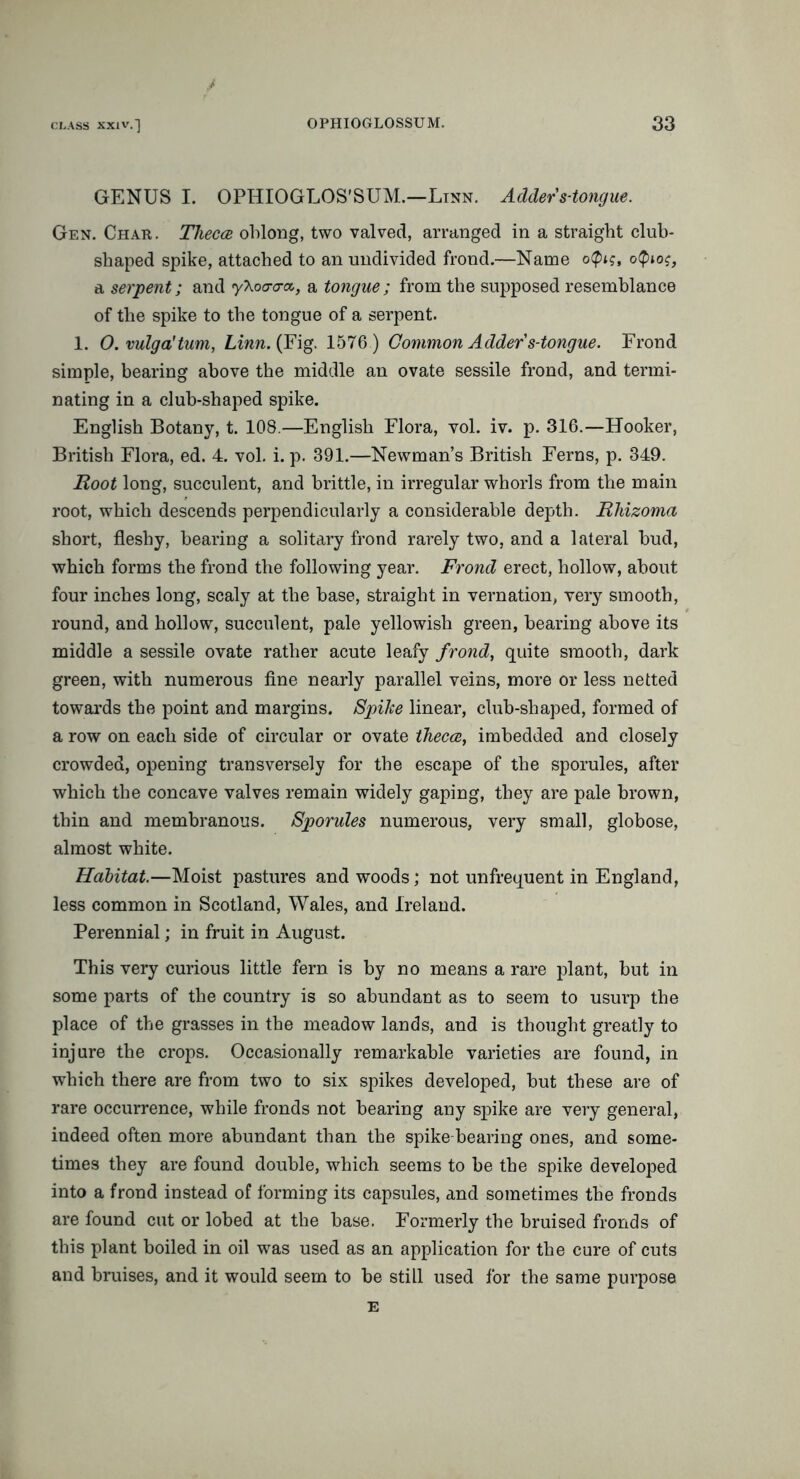 GENUS I. OPHIOGLOS'SUM.—Linn. Adder s-tongue. Gen. Char. Theca oblong, two valved, arranged in a straight club- shaped spike, attached to an undivided frond.—Name otyig, oQio$, a serpent; and yXoa-cra,, a tongue ; from the supposed resemblance of the spike to the tongue of a serpent. 1. 0. vulga'tum, Linn. (Fig. 1576) Common Adder's-tongue. Frond simple, bearing above the middle an ovate sessile frond, and termi- nating in a club-shaped spike. English Botany, t. 108.—English Flora, vol. iv. p. 316.—Hooker, British Flora, ed. 4. vol. i. p. 391.—Newman’s British Ferns, p. 349. Root long, succulent, and brittle, in irregular whorls from the main root, which descends perpendicularly a considerable depth. Rhizoma short, fleshy, bearing a solitary frond rarely two, and a lateral bud, which forms the frond the following year. Frond erect, hollow, about four inches long, scaly at the base, straight in vernation, very smooth, ■ round, and hollow, succulent, pale yellowish green, bearing above its middle a sessile ovate rather acute leafy frond, quite smooth, dark green, with numerous fine nearly parallel veins, more or less netted towards the point and margins. Spike linear, club-shaped, formed of a row on each side of circular or ovate theca, imbedded and closely crowded, opening transversely for the escape of the sporules, after which the concave valves remain widely gaping, they are pale brown, thin and membranous. Sporules numerous, very small, globose, almost white. Habitat.—Moist pastures and woods; not unfrequent in England, less common in Scotland, Wales, and Ireland. Perennial; in fruit in August. This very curious little fern is by no means a rare plant, but in some parts of the country is so abundant as to seem to usurp the place of the grasses in the meadow lands, and is thought greatly to injure the crops. Occasionally remarkable varieties are found, in which there are from two to six spikes developed, but these are of rare occurrence, while fronds not bearing any spike are very general, indeed often more abundant than the spike bearing ones, and some- times they are found double, which seems to be the spike developed into a frond instead of forming its capsules, and sometimes the fronds are found cut or lobed at the base. Formerly the bruised fronds of this plant boiled in oil was used as an application for the cure of cuts and bruises, and it would seem to be still used for the same purpose E