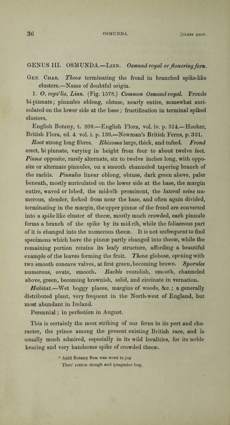 GENUS III. OSMUNDA.—Linn. Osmund royal or flowering fern. Gen. Char. Theca terminating the frond in branched spike-like clusters.—Name of doubtful origin. 1. O. rega'lis, Linn. (Fig. 1578.) Common Osmund-royal. Fronds bi-pinnate; pinnules oblong, obtuse, nearly entire, somewhat auri- eulated on the lower side at the base ; fructification in terminal spiked clusters. English Botany, t. 209.—English Flora, vol. iv. p. 314.—Hooker, British Flora, ed. 4. vol. i. p. 139.—Newman’s British Ferns, p. 331. Root strong long fibres. Rlnizoma large, thick, and tufted. Frond erect, bi pinnate, varying in height from four to about twelve feet. Pinna opposite, rarely alternate, six to twelve inches long, with oppo- site or alternate pinnules, on a smooth channeled tapering branch of the rachis. Pinnules linear oblong, obtuse, dark green above, paler beneath, mostly auriculated on the lower side at the base, the margin entire, w aved or lobed, the mid-rib prominent, the lateral veins nu- merous, slender, forked from near the base, and often again divided, terminating in the margin, the upper pinnae of the frond are converted into a spike like cluster of thecae, mostly much crowded, each pinnule forms a branch of the spike by its mid-rib, while the foliaceous part of it is changed into the numerous thecae. It is not unfrequent to find specimens which have the pinnae partly changed into thecae, while the remaining portion retains its leafy structure, affording a beautiful example of the leaves forming the fruit. Theca globose, opening with two smooth concave valves, at first green,becoming brown. Sporules numerous, ovate, smooth. Racliis roundish, smooth, channeled above, green, becoming brownish, solid, and circinate in vernation. Habitat.—Wet boggy places, margins of woods, &c.; a generally distributed plant, very frequent in the North-west of England, but most abundant in Ireland. Perennial; in perfection in August. This is certainly the most striking of our ferns in its port and cha- racter, the prince among the present existing British race, and is usually much admired, especially in its wild localities, for its noble bearing and very handsome spike of crowded thecee. “ Auld Botany Ben was wont to jog Thro' rotten slough and quagmire hog.