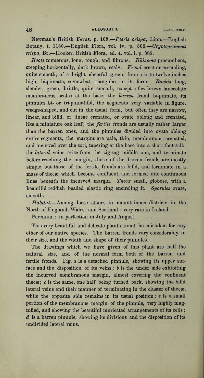Newman’s British Ferns, p. 103.—Pteris crispa, Linn.—English Botany, t. 1160.—English Flora, yoI. iv. p. 306.—Cryptogramma crispa, Br.—Hooker, British Flora, ed. 4. vol. i. p. 389. Roots numerous, long, tough, and fibrous. Rhizoma procumbent, creeping horizontally, dark brown, scaly. Frond erect or ascending, quite smooth, of a bright cheerful green, from six to twelve inches high, hi-pinnate, somewhat triangular in its form. Rachis long, slender, green, brittle, quite smooth, except a few brown lanceolate membranous scales at the base, the barren frond bi-pinnate, its pinnules bi- or tri-pinnatifid, the segments very 'variable in figure, wedge-shaped, and cut in the usual form, hut often they are narrow, linear, and bifid, or linear crenated, or ovate oblong and crenated, like a miniature oak leaf; the fertile fronds are usually rather larger than the barren ones, and the pinnules divided into ovate oblong entire segments, the margins are pale, thin, membranous, crenated, and incurved over the sori, tapering at the base into a short footstalk, the lateral veins arise from the zig-zag middle one, and terminate before reaching the margin, those of the barren fronds are mostly simple, but those of the fertile fronds are bifid, and terminate in a mass of thecae, which become confluent, and formed into continuous lines beneath the incurved margin. Thecce small, globose, with a beautiful reddish beaded elastic ring encircling it. Sporules ovate, smooth. Habitat.—Among loose stones in mountainous districts in the North of England, Wales, and Scotland ; very rare in Ireland. Perennial; in perfection in July and August. This very beautiful and delicate plant cannot be mistaken for any other of our native species. The barren fronds vary considerably in their size, and the width and shape of their pinnules. The drawings which we have given of this plant are half the natural size, and of the normal form both of the barren and fertile fronds. Fig. a is a detached pinnule, showing its upper sur- face and the disposition of its veins; b is the under side exhibiting the incurved membranous margin, almost covering the confluent thecae; c is the same, one half being turned back, showing the bifid lateral veins and their manner of terminating in the cluster of thecae, while the opposite side remains in its usual position; e is a small portion of the membranous margin of the pinnule, very highly mag- nified, and showing the beautiful muricated arrangements of its cells; d is a barren pinnule, showing its divisions and the disposition of its undivided lateral veins.