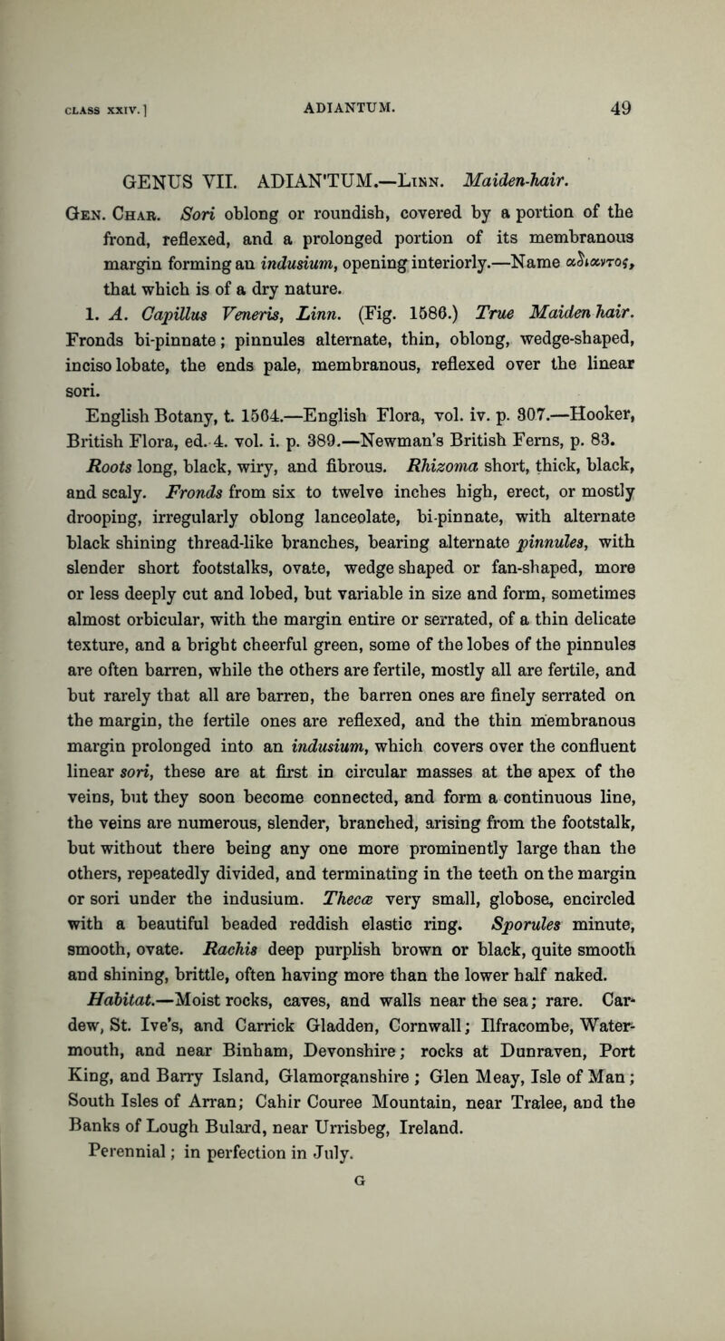 GENUS VII. ADIAN'TUM.—Linn. Maiden-hair. Gen. Char. Sori oblong or roundish, covered by a portion of the frond, reflexed, and a prolonged portion of its membranous margin forming an indusium, opening interiorly.—Name a^avroj, that which is of a dry nature. 1. A. Gapillus Veneris, Linn. (Fig. 1580.) True Maiden hair. Fronds bi-pinnate; pinnules alternate, thin, oblong, wedge-shaped, inciso lobate, the ends pale, membranous, reflexed over the linear sori. English Botany, t. 1504.—English Flora, vol. iv. p. 807.—Hooker, British Flora, ed. 4. vol. i. p. 389.—Newman’s British Ferns, p. 83. Roots long, black, wiry, and fibrous. Rhizoma short, thick, black, and scaly. Fronds from six to twelve inches high, erect, or mostly drooping, irregularly oblong lanceolate, bi-pinnate, with alternate black shining thread-like branches, bearing alternate pinnules, with slender short footstalks, ovate, wedge shaped or fan-shaped, more or less deeply cut and lobed, but variable in size and form, sometimes almost orbicular, with the margin entire or serrated, of a thin delicate texture, and a bright cheerful green, some of the lobes of the pinnules are often barren, while the others are fertile, mostly all are fertile, and but rarely that all are barren, the barren ones are finely serrated on the margin, the fertile ones are reflexed, and the thin membranous margin prolonged into an indusium, which covers over the confluent linear sori, these are at first in circular masses at the apex of the veins, but they soon become connected, and form a continuous line, the veins are numerous, slender, branched, arising from the footstalk, but without there being any one more prominently large than the others, repeatedly divided, and terminating in the teeth on the margin or sori under the indusium. Thecce very small, globose, encircled with a beautiful beaded reddish elastic ring. Sporules minute, smooth, ovate. Rachis deep purplish brown or black, quite smooth and shining, brittle, often having more than the lower half naked. Habitat.—Moist rocks, caves, and walls near the sea; rare. Car- dew, St. Ive’s, and Carrick Gladden, Cornwall; Ilfracombe, Water- mouth, and near Binham, Devonshire; rocks at Dunraven, Port King, and Barry Island, Glamorganshire ; Glen Meay, Isle of Man; South Isles of Arran; Cahir Couree Mountain, near Tralee, and the Banks of Lough Bulard, near Urrisbeg, Ireland. Perennial; in perfection in July. G