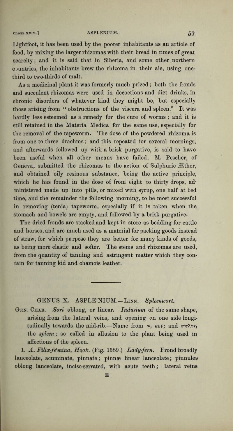 Lightfoot, it has been used by the poorer inhabitants as an article of food, by mixing the larger rhizomas with their bread in times of great scarcity; and it is said that in Siberia, and some other northern countries, the inhabitants brew the rhizoma in their ale, using one- third to two-thirds of malt. As a medicinal plant it was formerly much prized ; both the fronds and succulent rhizomas were used in decoctions and diet drinks, in chronic disorders of whatever kind they might be, but especially those arising from “ obstructions of the viscera and spleen.” It was hardly less esteemed as a remedy for the cure of worms ; and it is still retained in the Materia Medica for the same use, especially for the removal of the tapeworm. The dose of the powdered rhizoma is from one to three drachms; and this repeated for several mornings, and afterwards followed up with a brisk purgative, is said to have been useful when all other means have failed. M. Pescher, of Geneva, submitted the rhizomas to the action of Sulphuric iEther, and obtained oily resinous substance, being the active principle, which he has found in the dose of from eight to thirty drops, ad‘ ministered made up into pills, or mixed with syrup, one half at bed time, and the remainder the following morning, to be most successful in removing (teniaj tapeworm, especially if it is taken when the stomach and bowels are empty, and followed by a brisk purgative. The dried fronds are stacked and kept in store as bedding for cattle and horses, and are much used as a material for packing goods instead of straw, for which purpose they are better for many kinds of goods, as being more elastic and softer. The stems and rhizomas are used, from the quantity of tanning and astringent matter which they con- tain for tanning kid and chamois leather. GENUS X. ASPLE’NIUM.—Linn. ISpleenwort. Gen. Char. Sori oblong, or linear. Indusium of the same shape, arising from the lateral veins, and opening on one side longi- tudinally towards the mid-rib.—Name from «, not; and o-TrXtjv, the spleen; so called in allusion to the plant being used in affections of the spleen. 1. A. Filix-fe'mina, Hook. (Fig. 1589.) Lady-fern. Frond broadly lanceolate, acuminate, pinnate; pinnae linear lanceolate; pinnules oblong lanceolate, inciso-serrated, with acute teeth; lateral veins H