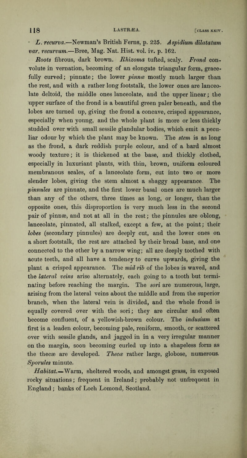 • L. recurva.—Newman’s British Ferns, p. 225. Aspidium dilatatum var. recurvum.—Bree, Mag. Nat. Hist. vol. iv. p. 162. Roots fibrous, dark brown. Rhizoma tufted, scaly. Frond con- volute in vernation, becoming of an elongate triangular form, grace- fully curved; pinnate; the lower pinna mostly much larger than the rest, and with a rather long footstalk, the lower ones are lanceo- late deltoid, the middle ones lanceolate, and the upper linear; the upper surface of the frond is a beautiful green paler beneath, and the lobes are turned up, giving the frond a concave, crisped appearance, especially when young, and the whole plant is more or less thickly studded over with small sessile glandular bodies, which emit a pecu- liar odour by which the plant may be known. The stem is as long as the frond, a dark reddish purple colour, and of a hard almost woody texture; it is thickened at the base, and thickly clothed, especially in luxuriant plants, with thin, brown, uniform coloured membranous scales, of a lanceolate form, cut into two or more slender lobes, giving the stem almost a shaggy appearance. The pinnules are pinnate, and the first lower basal ones are much larger than any of the others, three times as long, or longer, than the opposite ones, this disproportion is very much less in the second pair of pinnae, and not at all in the rest; the pinnules are oblong, lanceolate, pinnated, all stalked, except a few, at the point; their lobes (secondary pinnules) are deeply cut, and the lower ones on a short footstalk, the rest are attached by their broad base, and one connected to the other by a narrow wing; all are deeply toothed with acute teeth, and all have a tendency to curve upwards, giving the plant a crisped appearance. The mid rib of the lobes is waved, and the lateral veins arise alternately, each going to a tooth but termi- nating before reaching the margin. The sori are numerous, large, arising from the lateral veins about the middle and from the superior branch, when the lateral vein is divided, and the whole frond is equally covered over with the sori; they are circular and often become confluent, of a yellowish-brown colour. The indusium at first is a leaden colour, becoming pale, reniform, smooth, or scattered over with sessile glands, and jagged in in a very irregular manner on the margin, soon becoming curled up into a shapeless form as the thecae are developed. Theca rather large, globose, numerous. Sporules minute. Habitat.—Warm, sheltered woods, and amongst grass, in exposed rocky situations; frequent in Ireland; probably not unfrequent in England ; banks of Loch Lomond, Scotland.