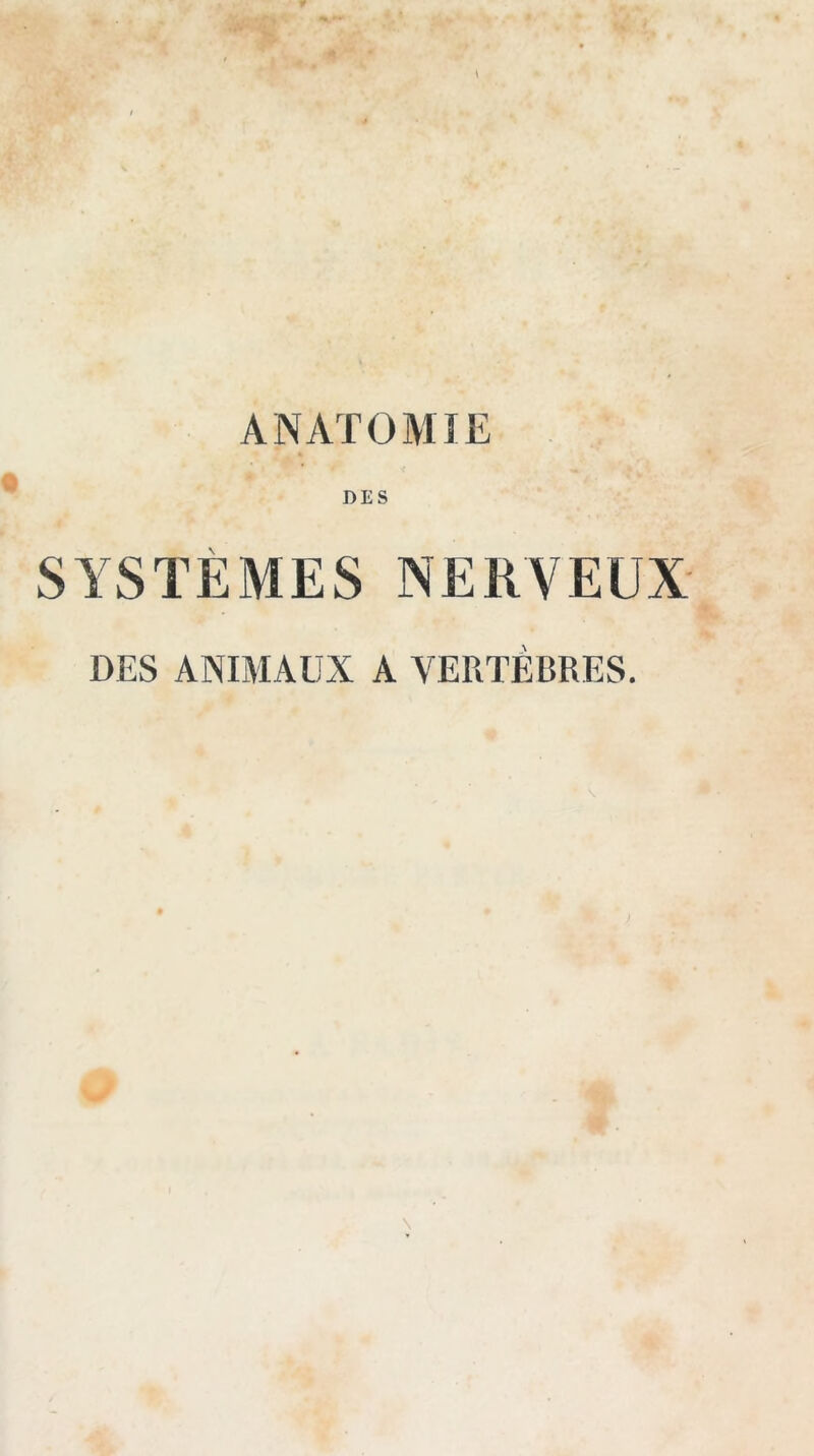 ANATOMIE DES SYSTEMES NERVEUX DES ANIMAUX A VERTÈBRES.