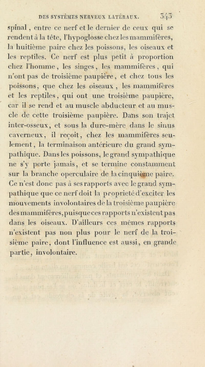 spinal, entre ce nerf et le dernier de ceux qui se rendent à la tète, l’hypoglosse chez les mammifères, la huitième paire chez les poissons, les oiseaux et les reptiles. Ce nerf est plus petit à proportion chez l’homme, les singes, les mammifères, qui n’ont pas de troisième paupière, et chez tous les poissons, que chez les oiseaux , les mammifères et les reptiles, qui ont une troisième paupière, car il se rend et au muscle abducteur et au mus- cle de cette troisième paupière. Dans son trajet inter-osseux, et sous la dure-mère dans le sinus caverneux, il reçoit, chez les mammifères seu- lement, la terminaison antérieure du grand sym- pathique. Dans les poissons, le grand sympathique ne s’y porte jamais, et se termine constamment sur la branche operçulaire de la cinquième paire. Ce n’est donc pas à ses rapports avec le grand sym- pathique que ce nerf doit la propriété d’exciter les mouvements involontaires de la troisième paupière des mammifères,puisqueces rapports n’existent pas dans les oiseaux. D’ailleurs ces mêmes rapports n’existent pas non plus pour le nerf de la troi- sième paire, dont l’influence est aussi, en grande partie, involontaire.