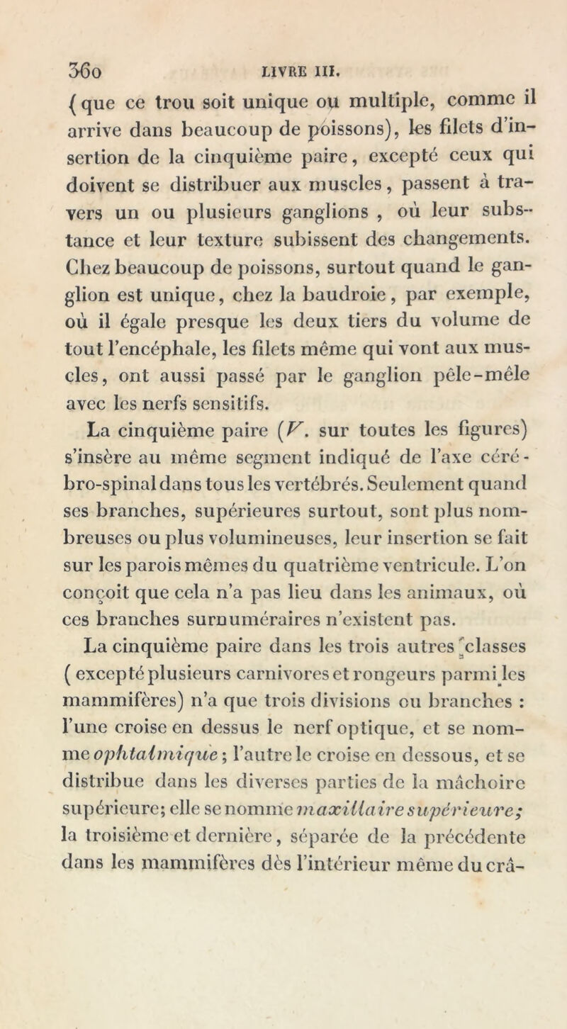 { que ce trou soit unique ou multiple, comme il arrive dans beaucoup de poissons), les filets d in- sertion de la cinquième paire, excepté ceux qui doivent se distribuer aux muscles, passent à tra- vers un ou plusieurs ganglions , où leur subs- tance et leur texture subissent des changements. Chez beaucoup de poissons, surtout quand le gan- glion est unique, chez la baudroie, par exemple, où il égale presque les deux tiers du volume de tout l’encéphale, les filets meme qui vont aux mus- cles, ont aussi passé par le ganglion pêle-mêle avec les nerfs sensitifs. La cinquième paire [V. sur toutes les figures) s’insère au même segment indiqué de l’axe céré- bro-spinal dans tous les vertébrés. Seulement quand ses branches, supérieures surtout, sont plus nom- breuses ou plus volumineuses, leur insertion se fait sur les parois mêmes du quatrième ventricule. L’on conçoit que cela n’a pas lieu dans les animaux, où ces branches surnuméraires n’existent pas. La cinquième paire dans les trois autres classes ( excepté plusieurs carnivores et rongeurs parmi les mammifères) n’a que trois divisions ou branches : l’une croise en dessus le nerf optique, et se nom- me ophtalmique ; l’autre le croise en dessous, et se distribue dans les diverses parties de la mâchoire supérieure; elle se nomme maxillaire s upérieuve; la troisième et dernière, séparée de la précédente dans les mammifères dès l’intérieur mêmeducrâ-