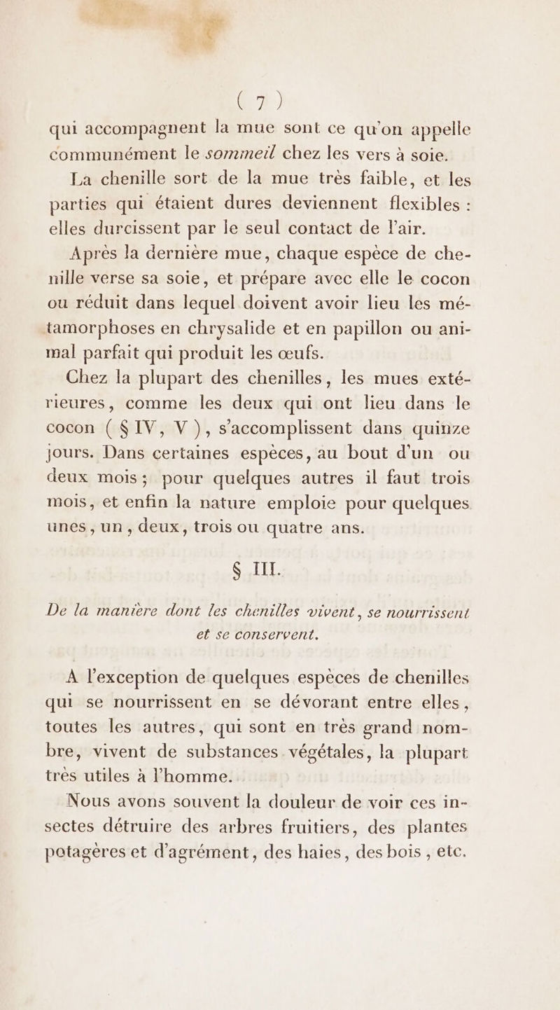 (42 qui accompagnent la mue sont ce qu'on appelle communément le sormmerl chez les vers à soie. La chenille sort de la mue très faible, et les parties qui étaient dures deviennent flexibles : elles durcissent par le seul contact de Pair. Après la dernière mue, chaque espèce de che- nille verse sa soie, et prépare avec elle le cocon ou réduit dans lequel doivent avoir lieu les mé- tamorphoses en chrysalide et en papillon ou ani- mal parfait qui produit les œufs. Chez la plupart des chenilles, les mues exté- rieures, comme les deux qui ont lieu dans le cocon ( $IV, V ), s’accomplissent dans quinze jours. Dans certaines espèces, au bout d'un ou deux mois; pour quelques autres il faut trois mois, et enfin la nature emploie pour quelques unes, un, deux, trois ou quatre ans. $ III. De la maniere dont les chenilles vivent, se nourrissent el se conservent. À l'exception de quelques espèces de chenilles qui se nourrissent en se dévorant entre elles, toutes les autres, qui sont en très grand nom- bre, vivent de substances. végétales, la plupart tres utiles à l’homme. Nous avons souvent la douleur de voir ces in- sectes détruire des arbres fruitiers, des plantes potagères et d'agrément, des haies, des bois , etc.
