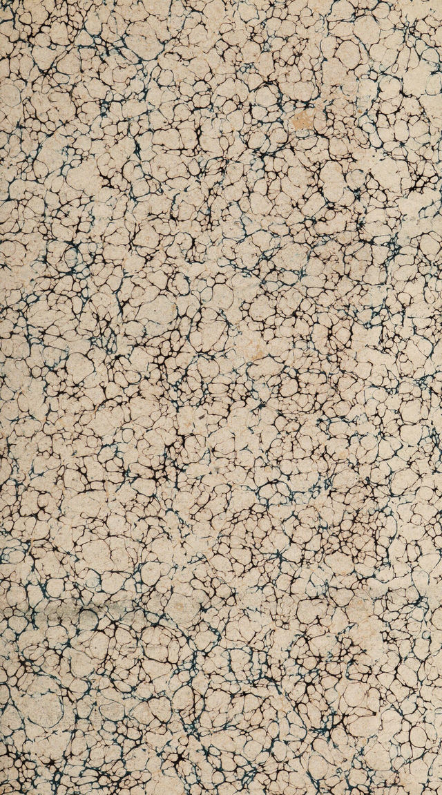 digitised image 3