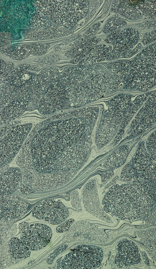 digitised image 2
