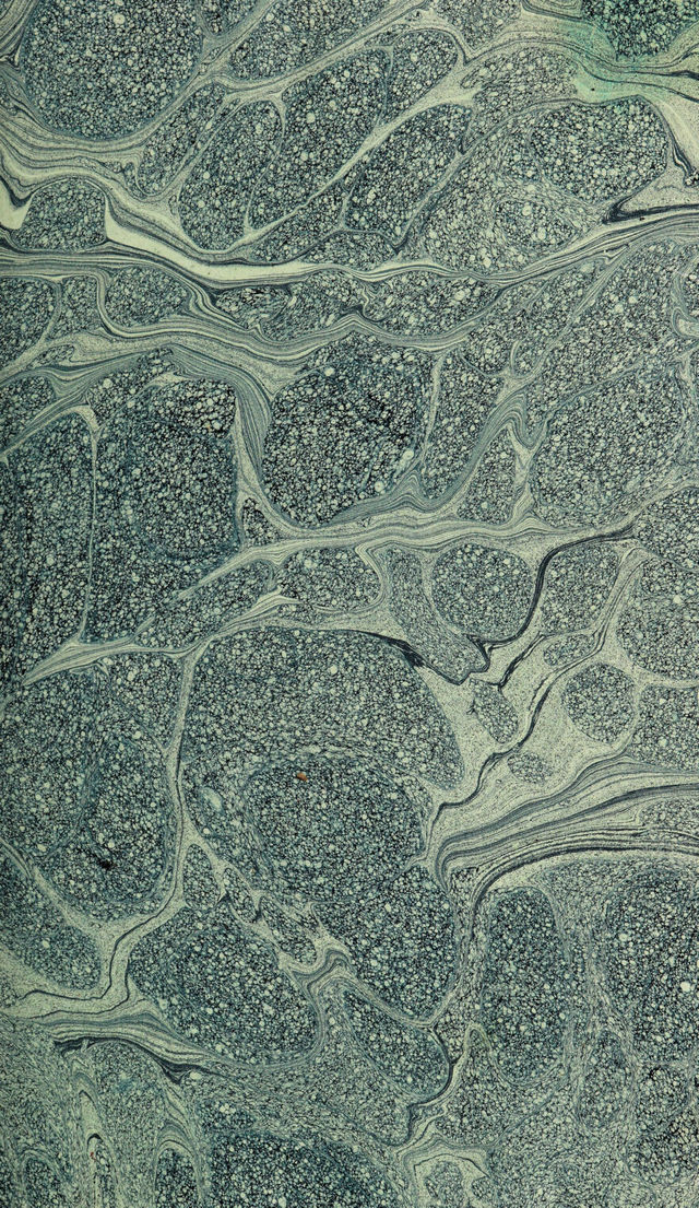 digitised image 3