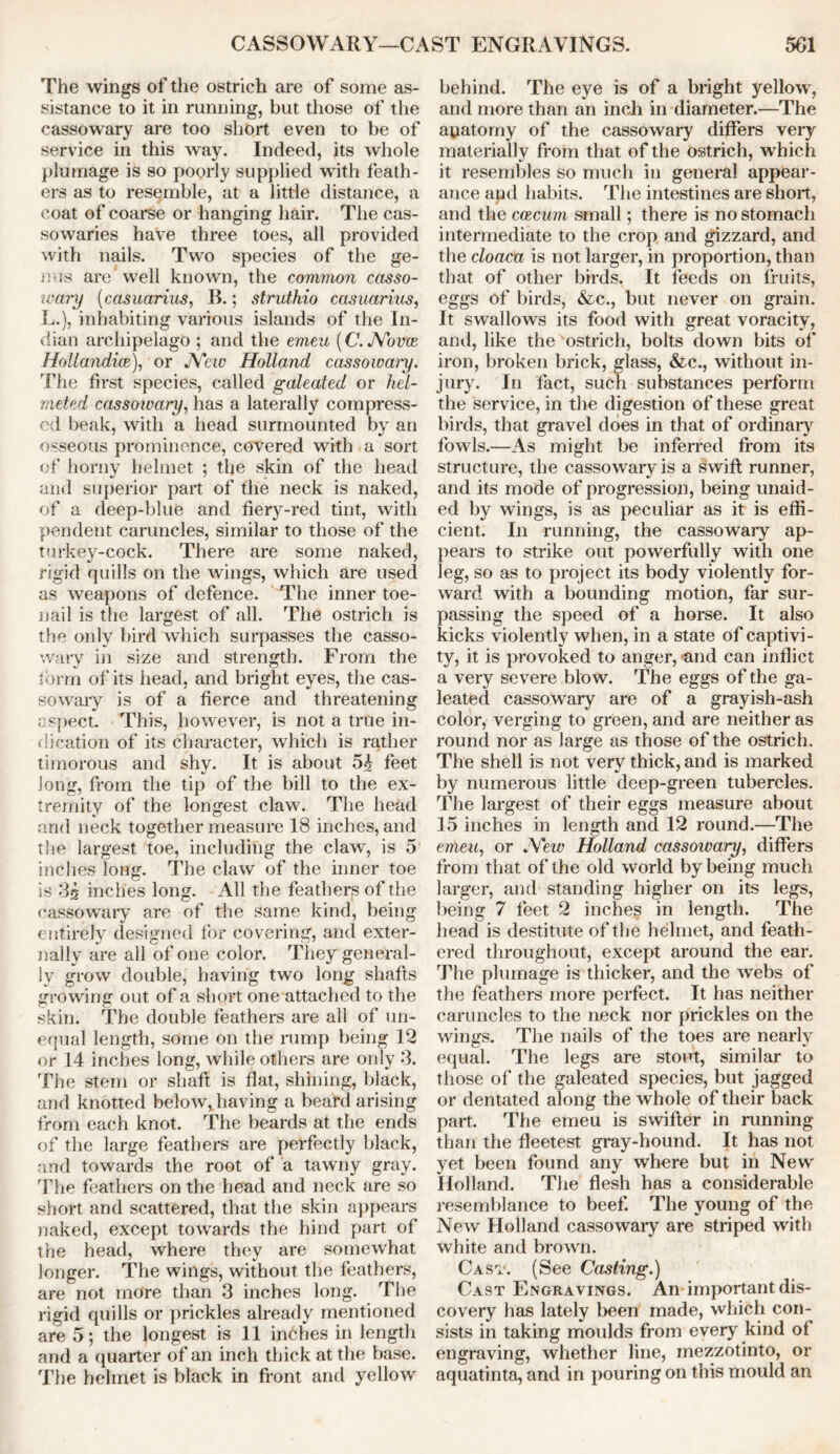 The wings of the ostrich are of some as- sistance to it in running, but those of the cassowary are too short even to be of service in this way. Indeed, its whole plumage is so poorly supplied with feath- ers as to resemble, at a little distance, a coat of coarse or hanging hair. The cas- sowaries have three toes, all provided with nails. Two species of the ge- nus are' well known, the covwmi casso- ivary (casuarius, B.; struthio casaarius, L.), inhabiting various islands of the In- dian archipelago ; and the emeu (C.JYovw Hollandice), or JVciv Holland cassowaiy. The first species, called galeated or hel- meted cassowary, has a laterally compress- ed beak, with a head surmounted bv an osseous prominence, covered with a sort of horny helmet ; the skin of the head and superior part of the neck is naked, of a deep-blue and fiery-red tint, with pendent caruncles, similar to those of the turkey-cock. There are some naked, rigid quills on the wings, which are used as weapons of defence. The inner toe- nail is the largest of all. The ostrich is the only bird which surpasses the casso- wary in size and strength. From the form of its head, and bright eyes, the cas- sowary is of a fierce and threatening aspect. This, however, is not a true in- dication of its character, which is rather timorous and shy. It is about 54 feet Jong, from the tip of the bill to the ex- tremity of the longest claw. The head and neck together measure 18 inches, and the largest toe, including the claw, is 5 inches long. The claw of the inner toe is 34 inches long. All the feathers of the cassowary are of the same kind, being entirely designed for covering, and exter- nally are all of one color. They general- ly grow double, having two long shafts growing out of a short one attached to the skin. The double feathers are all of un- equal length, some on the rump being 12 or 14 inches long, while others are only 3. The stem or shaft is flat, shining, black, and knotted below, having a beard arising from each knot. The beards at the ends of the large feathers are perfectly black, and towards the root of a tawny gray. The feathers on the head and neck are so short and scattered, that the skin appears naked, except towards the hind part of the head, where they are somewhat longer. The wings, without the feathers, are not more than 3 inches long. The rigid quills or prickles already mentioned are 5; the longest is 11 inches in length and a quarter of an inch thick at the base. The helmet is black in front and yellow behind. The eye is of a bright yellow, and more than an inch in diameter.—The apatomy of the cassowary differs very materially from that of the ostrich, which it resembles so much in general appear- ance and habits. The intestines are short, and the ccecum small; there is no stomach intermediate to the crop and gizzard, and the cloaca is not larger, in proportion, than that of other birds. It feeds on fruits, eggs of birds, &c., but never on grain. It swallows its food with great voracity, and, like the ostrich, bolts down bits of iron, broken brick, glass, &c., without in- jury. In fact, such substances perform the service, in the digestion of these great birds, that gravel does in that of ordinary fowls.—As might be inferred from its structure, the cassowary is a swift runner, and its mode of progression, being unaid- ed by wings, is as peculiar as it is effi- cient. In running, the cassowaiy ap- pears to strike out powerfully with one leg, so as to project its body violently for- ward with a bounding motion, far sur- passing the speed of a horse. It also kicks violently when, in a state of captivi- ty, it is provoked to anger, and can inflict a very severe blow. The eggs of the ga- leated cassowary are of a grayish-ash color, verging to green, and are neither as round nor as large as those of the ostrich. The shell is not very thick, and is marked by numerous little deep-green tubercles. The largest of their eggs measure about 15 inches in length and 12 round.—The emeu, or .Yew Holland cassowary, differs from that of the old world by being much larger, and standing higher on its legs, being 7 feet 2 inches in length. The head is destitute of the helmet, and feath- ered throughout, except around the ear. The plumage is thicker, and the webs of the feathers more perfect. It has neither caruncles to the neck nor prickles on the wings. The nails of the toes are nearly equal. The legs are stout, similar to those of the galeated species, but jagged or dentated along the whole of their back part. The emeu is swifter in running than the fleetest gray-hound. It has not yet been found any where but in New Holland. The flesh has a considerable resemblance to beef. The young of the New Holland cassowary are striped with white and brown. Cast. (See Casting.) Cast Engravings. An important dis- covery has lately been made, which con- sists in taking moulds from every kind of engraving, whether line, mezzotinto, or aquatinta, and in pouring on this mould an