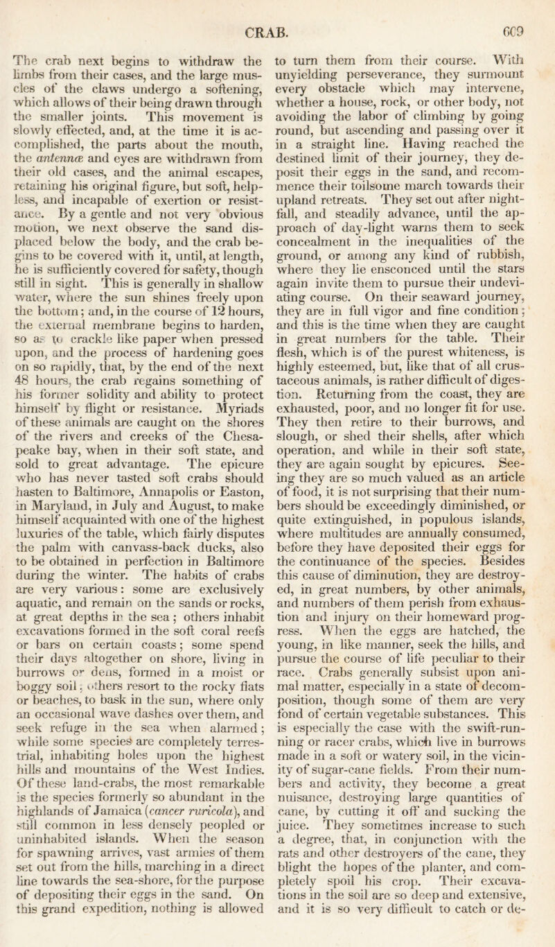 CRAB. 6C9 The crab next begins to withdraw the limbs from their cases, and the large mus- cles of the claws undergo a softening, which allows of their being drawn through the smaller joints. This movement is slowly effected, and, at the time it is ac- complished, the parts about the mouth, the antennas, and eyes are withdrawn from their old cases, and the animal escapes, retaining his original figure, but soft, help- less, and incapable of exertion or resist- ance. By a gentle and not very obvious motion, we next observe the sand dis- placed below the body, and the crab be- gins to be covered with it, until, at length, he is sufficiently covered for safety, though still in sight. This is generally in shallow water, where the sun shines freely upon the bottom; and, in the course of 12 hours, the external membrane begins to harden, so at to crackle like paper when pressed upon, and the process of hardening goes on so rapidly, that, by the end of the next 48 hours, the crab x'egains something of his former solidity and ability to protect himself by flight or resistance. Myriads of these animals are caught on the shores of the rivers and creeks of the Chesa- peake bay, when in their soft state, and sold to great advantage. The epicure wrho has never tasted soft crabs should hasten to Baltimore, Annapolis or Easton, in Maryland, in July and August, to make himself acquainted with one of the highest luxuries of the table, which fairly disputes the palm with canvass-back ducks, also to be obtained in perfection in Baltimore during the winter. The habits of crabs are very various: some are exclusively aquatic, and remain on the sands or rocks, at great depths in the sea ; others inhabit excavations formed in the soft coral reefs or bars on certain coasts; some spend their days altogether on shore, living in burrows o>* dens, formed in a moist or boggy soil j others resort to the rocky flats or beaches, to bask in the sun, where only an occasional wave dashes over them, and seek refuge in the sea when alarmed; while some species are completely terres- trial, inhabiting holes upon the highest hills and mountains of the West Indies. Of these land-crabs, the most remarkable is the species formerly so abundant in the highlands of Jamaica (cancer ruricola), and still common in less densely peopled or uninhabited islands. When the season for spawning arrives, vast armies of them set out from the hills, marching in a direct line towards the sea-shore, for the purpose of depositing their eggs in the sand. On this grand expedition, nothing is allowed to turn them from their course. With unyielding perseverance, they surmount every obstacle which may intervene, whether a house, rock, or other body, not avoiding the labor of climbing by going round, but ascending and passing over it in a straight line. Having reached the destined limit of their journey, they de- posit their eggs in the sand, and recom- mence their toilsome march towards their upland retreats. They set out after night- fall, and steadily advance, until the ap- proach of day-light warns them to seek concealment in the inequalities of the ground, or among any kind of rubbish, where they lie ensconced until the stars again invite them to pursue their undevi- ating course. On their seaward journey, they are in full vigor and fine condition; and this is the time when they are caught in great numbers for the table. Their flesh, which is of the purest whiteness, is highly esteemed, but, like that of all crus- taceous animals, is rather difficult of diges - tion. Returning from the coast, they are exhausted, poor, and no longer fit for use. They then retire to their burrows, and slough, or shed their shells, after which operation, and while in their soft state, they are again sought by epicures. See- ing they are so much valued as an article of food, it is not surprising that their num- bers should be exceedingly diminished, or quite extinguished, in populous islands, where multitudes are annually consumed, before they have deposited their eggs for the continuance of the species. Besides this cause of diminution, they are destroy- ed, in great numbers, by other animals, and numbers of them perish from exhaus- tion and injury on then- homeward prog- ress. When the eggs are hatched, the young, in like manner, seek the hills, and pursue the course of life peculiar to their race. Crabs generally subsist upon ani- mal matter, especially in a state of decom- position, though some of them are very fond of certain vegetable substances. This is especially the case with the swift-run- ning or racer crabs, which live in burrows made in a soft or watery soil, in the vicin- ity of sugar-cane fields. From their num- bers and activity, they become a great nuisance, destroying large quantities of cane, by cutting it oft* and sucking the juice. They sometimes increase to such a degree, that, in conjunction with the rats and other destroyers of the cane, they blight the hopes of the planter, and com- pletely spoil his crop. Their excava- tions in the soil are so deep and extensive, and it is so very difficult to catch or de-