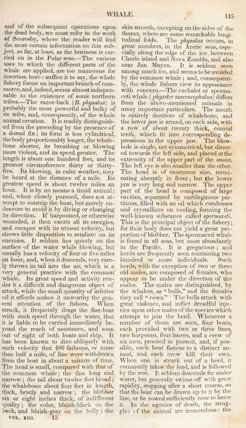 and of the subsequent operations upon the dead body, we must refer to the work of Scoresby, where the reader will find the most certain information on this sub- ject, so far, at least, as the business is car- ried on in the Polar seas.—The various uses to which the different parts of the whale are applied, are too numerous for insertion here : suffice it to say, the whale fishery forms an important branch of com- merce, and, indeed, seems almost indispen- sable to the existence of some northern tribes.—The razor-back [B. pkyscdus) is probably the most powerful and bulky of its tribe, and, consequently, of the whole animal creation. It is readily distinguish- ed from the preceding by the presence of a dorsal fin; its form is less cylindrical, the body proportionably longer, the whale- bone shorter, its breathing or blowing more violent, and its speed greater. The length is about one hundred feet, and its greatest circumference thirty or thirty- five. Its blowing, in calm weather, may be heard at the distance of a mile. Its greatest speed is about twelve miles an hour. It is by no means a timid animal; and, when closely pursued, does not at- tempt to outstrip the boat, but merely en- deavors to avoid it by diving or changing its direction. If harpooned, or otherwise wounded, it then exerts all its energies, and escapes with its utmost velocity, but shows little disposition to retaliate on its enemies. It seldom lies quietly on the surface of the water while blowing, but usually has a velocity of four or five miles an hour, and, when it descends, very rare- ly throws its tail into the air, which is a very general practice with the common' whale. Its great speed and activity ren- der it a difficult and dangerous object of attack, while the small quantity of inferior oil it affords makes it unworthy the gen- eral attention of the fishers. When struck, it frequently drags the fast-boat with such speed through the water, that it is liable to be carried immediately be- yond the reach of assistance, and soon out of sight of both boats and ship. It has been known to dive obliquely with such velocity that 480 fathoms, or more than half a mile, of line were withdrawn from the boat in about a minute of time. The head is small, compared with that of the common whale ; the fins long and narrow ; the tail about twelve feet broad ; the whalebone about four feet in length, thick, bristly and narrow; the blubber six or eight inches thick, of indifferent quality; the color, bluish-black on the f*tck, and bluish-gray on the belly ; the VOL. XIII. 13 skin smooth, excepting on the sides of the thorax, where are some remarkable longi- tudinal folds. The physalus occurs, in great numbers, in the Arctic seas, espe- cially along the edge of the ice between Clierie island and Nova Zembla, and also near Jan Mayen. It is seldom seen among much ice, and seems to be avoided by the common whale ; and, consequent- ly, the whale fishers view its appearance with concern.—The cachalot or sperma- ceti whale (physeter macrocephalus) differs from the above-mentioned animals in many important particulars. The mouth is entirely destitute of whalebone, and the low er jaw is armed, on each side, with a row of about twenty thick, conical teeth, which fit into corresponding de- pressions in the upper jaw. The blow- hole is single, not symmetrical, but direct- ed towards the left side, and placed at the extremity of the upper part of the snout. The left eye is also smaller than the other. The head is of enormous size, termi- nating abruptly in front; but the lower jaw is very long and narrow. The upper part of the head is composed of large cavities, separated by cartilaginous par- titions, filled with an oil which condenses and crystallizes on cooling, forming the well-known substance called spermaceti. This is the principal object of the fishery; for their body does not yield a great pro- portion of blubber. The spermaceti whale is found in all seas, but most abundantly in the Pacific. It is gregarious ; and herds are frequently seen containing two hundred or more individuals. Such herds, with the exception of two or three old males, are composed of females, who appear to be under the direction of the males. The males are distinguished, by the w halers, as “ bulls,” and the females they call “ cows.” The bulls attack with great violence, and inflict dreadful inju- ries upon other males of the species which attempt to join the herd. Whenever a number of them are seen, four boats, each provided with twro or three lines, two harpoons, four lances, and a crew of six men, proceed in pursuit, and, if pos- sible, each boat fastens to a distinct an- imal, and each crew' kill their own. When one is struck out of a herd, it commonly takes the lead, and is followed by the rest. It seldom descends far under water, but generally swims off with great rapidity, stopping after a short course, so that the boat can be drawn up to it by the line, or be rowed sufficiently near to lance it. In the agonies of death, the strug- gles (f the animal are tremendous: the