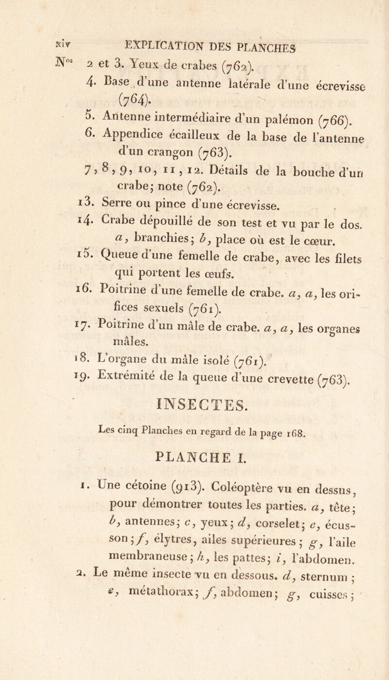 2 et 3. Yeux de crabes (762). 4« Base d une antenne latérale d’une écrevisse (764> ' •> 5. Antenne intermédiaire d’un paîémon (766). 6. Appendice écailleux de la base de l’antenne d’un crangon (768). ®, iijia. Détails de la bouche d’un crabe; note (762). i3. Serre ou pince d’une écrevisse. i4* Crabe dépouillé de son test et vu par le dos. a, branchies ; b , place où est le cœur. io. Queue d’une femelle de crabe, avec les fdets qui portent les œufs. 16. Poitrine d’une femelle de crabe, a, a, les ori- lices sexuels (761). î7* Poitrine d un male de crabe, a, a, les organes mâles. 18. L’organe du mâle isolé (761). 19. Extrémité de la queue d’une crevette (763}. INSECTES. Les cinq Planches en regard de la page 168. PLANCHE I. 1. Une cetoine (913). Coléoptère vu en dessus, pour démontrer toutes les parties, a, tête; bj antennes, g*, yeux; d, corselet; e, écus- son;/, élytres, ailes supérieures; g, l’aile membraneuse; h, les pattes; i, l’abdomen. 2. Le même insecte vu en dessous, d, sternum ; metathorax; /, abdomen; g, cuisses;