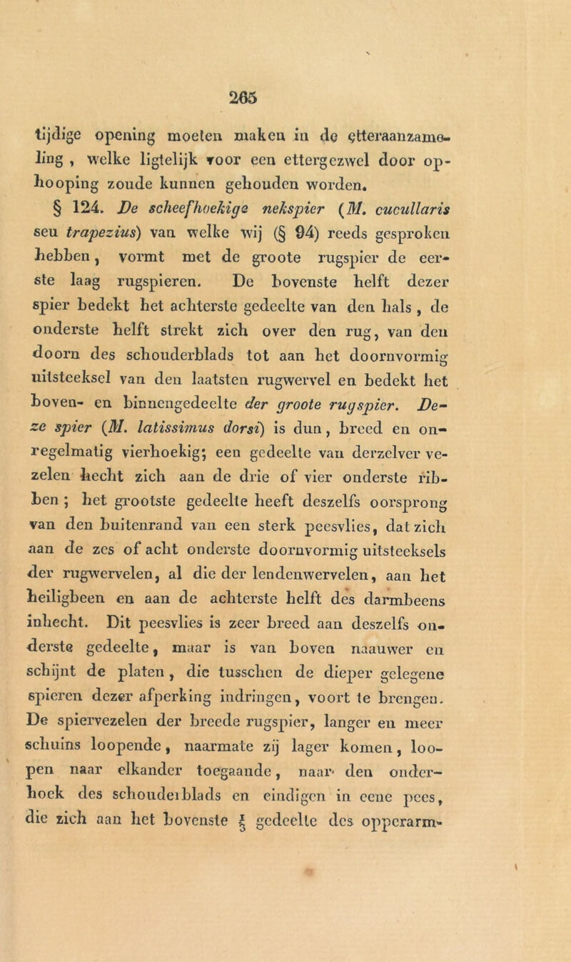 tijdige opening moeten maken in de çtteraanzame- ling , welke ligtelijk voor een ettergezwel door op- hooping zoude kunnen gehouden worden. § 124. De scheefhoekige nekspier {31. cucullaris seu trapezius) van welke wij (§ 94) reeds gesproken hebben , vormt met de groote rugspier de eer- ste laag rugspieren. De bovenste helft dezer spier bedekt het achterste gedeelte van den hals , de onderste helft strekt zich over den rug, van den doorn des schouderblads tot aan het doornvormis: uitsteeksel van den laatsten rugwervel en bedekt het boven- en binncngedeelte der groote rugspier. De- ze spier {31. latissimus dorsi) is dun, breed en on- regelmatig vierhoekig; een gedeelte van derzclver ve- zelen hecht zich aan de drie of vier onderste rib- ben ; het grootste gedeelte heeft deszelfs oorsprong van den buitenrand van een sterk peesvlies, dat zich aan de zes of acht onderste doornvormig uitsteeksels der rugwervelen, al die der lendenwcrvelen, aan het heiligbeen en aan de achterste helft des darmbeens inhecht. Dit peesvlies is zeer breed aan deszelfs on- derste gedeelte, maar is van boven naauwer en schijnt de platen, die tusschcn de dieper gelegene spieren dezer afperking indringen, voort te brengen. De spiervezelen der breede rugspier, langer en meer schuins loopende, naarmate zij lager komen, loo- pen naar elkander toegaande, naar* den onder- hoek des schoudeiblads en eindigen in cene pees, die zich aan het bovenste gedeelte des opperarm-