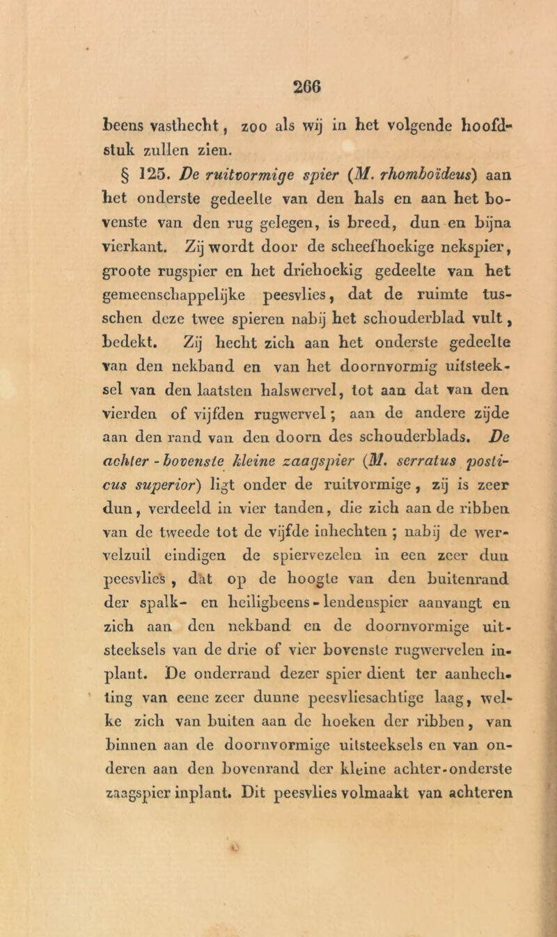 beens vasthecht, zoo als wij in het volgende hoofd- stuk zullen zien. § 125. De ruitvormige spier (M. rhomboïdeus) aan het onderste gedeelte van den hals en aan het bo- venste van den rug gelegen, is breed, dun en bijna vierkant. Zij wordt door de scheefhoekige nekspier, groote rugspier en het driehoekig gedeelte van het gemeenschappelijke peesvlies, dat de ruimte tus- schen deze twee spieren nabij het schouderblad vult, bedekt. Zij hecht zich aan het onderste gedeelte van den nekband en van het doornvormig uitsteek- sel van den laatsten halswervel, tot aan dat van den vierden of vijfden rugwervel ; aan de andere zijde aan den rand van den doom des schouderblads. De achter - bovenste kleine zaagspier (M. serratus posti- ons superior) ligt onder de ruitvormige, zij is zeer dun, verdeeld in vier tanden, die zich aan de ribben van de tweede tot de vijfde inhechten ; nabij de wer- velzuil eindigen de spiervezclen in een zeer dun peesvlies , dat op de hoogte van den buitenrand der spalk- en heiligbeens - lendenspier aanvangt en zich aan den nekband en de doornvormige uit- steeksels van de drie of vier bovenste rugwervelen in- plant. De onderrand dezer spier dient ter aanhech- ting van eene zeer dunne peesvliesachtige laag, wel- ke zich van buiten aan de hoeken der ribben, van binnen aan de doornvormige uitsteeksels en van on- deren aan den bovenrand der kleine achter-onderste zaagspier inplant. Dit peesvlies volmaakt van achteren