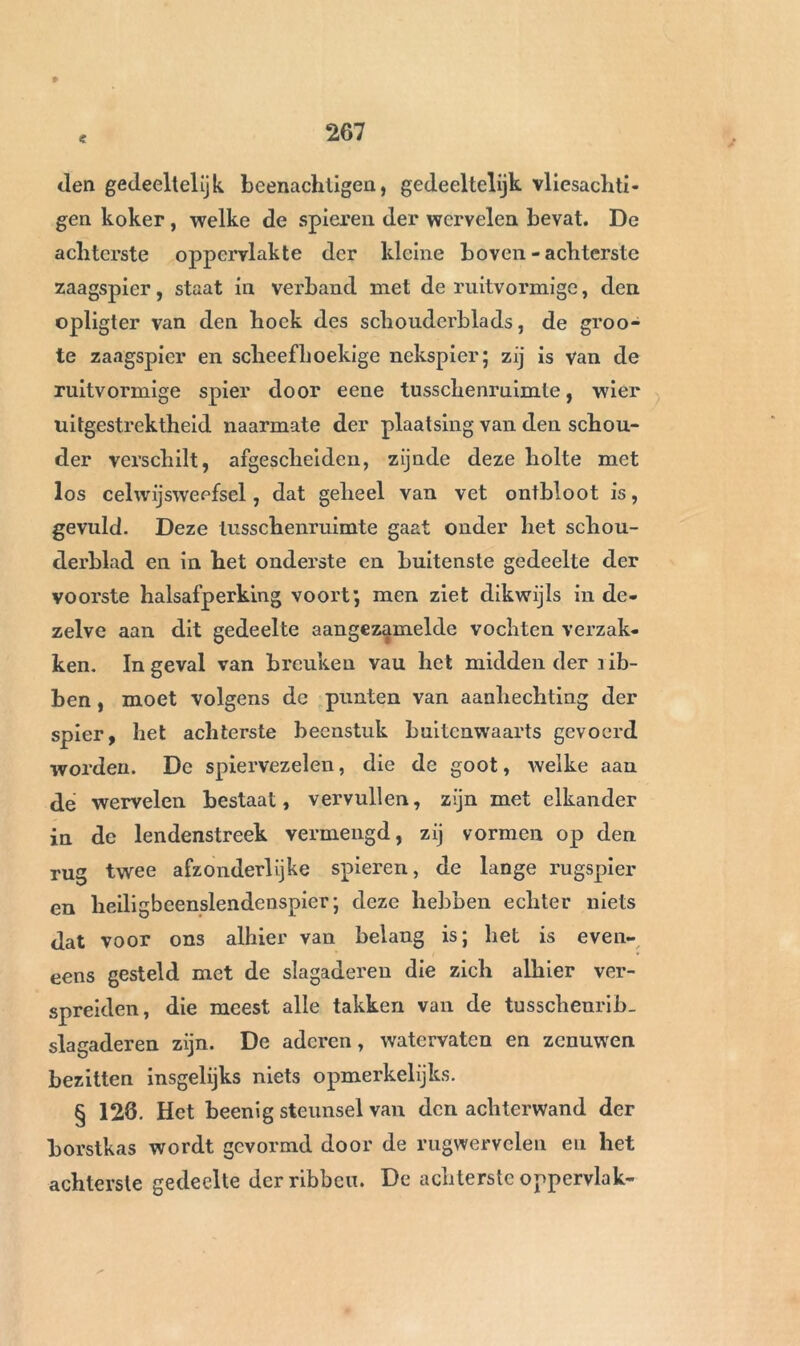 < den gedeeltelijk beenachtigen, gedeeltelijk vliesachti- gen koker , welke de spieren der wervelen bevat. De achterste oppervlakte der kleine boven - achterste zaagspier, staat in verhand met de ruitvormige, den opligter van den hoek des schoudcrblads, de groo- te zaagspier en scheefhoekige nekspier; zij is Van de ruitvormige spier door eene tusschenruimte, wier uitgestrektheid naarmate der plaatsing van den schou- der verschilt, afgescheiden, zijnde deze holte met los celwijswecfsel, dat geheel van vet ontbloot is, gevuld. Deze tusschenruimte gaat onder het schou- derblad en in het onderste en buitenste gedeelte der voorste halsafperking voort; men ziet dikwijls in de- zelve aan dit gedeelte aangezamelde vochten verzak- ken. Ingeval van breuken vau het midden der iib- ben, moet volgens dc punten van aanhechting der spier, het achterste beenstuk buitenwaarts gevoerd worden. De spiervezelen, die de goot, welke aan de wervelen bestaat, vervullen, zijn met elkander in de lendenstreek vermengd, zij vormen op den rug twee afzonderlijke spieren, de lange rugspier en heiligbeenslendenspier; deze hebben echter niets dat voor ons alhier van belang is; bet is even- eens gesteld met de slagaderen die zich alhier ver- spreiden, die meest alle takken van de tusschenrih- slagaderen zijn. De aderen, watervaten en zenuwen bezitten insgelijks niets opmerkelijks. § 128. Het beenig steunsel van den achterwand der borstkas wordt gevormd door de rugwervelen eu het achterste gedeelte der ribben. De achterste oppervlak-