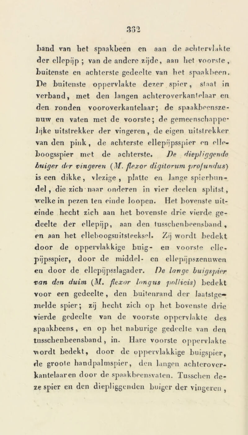 band van bet spaakbeen en aan de achtervlakte der ellepïjp ; van de andere zijde, aan bet voorste , buitenste en achterste gedeelte van het spaakbeen. De buitenste oppervlakte dezer spier, staat in verband, met den langen achteroverkantelaar en den ronden vooroverkantelaar; de spaakbeensze- nuw en vaten met de voorste; de gemeenschappe- lijke uitstrekker der vingeren, de eigen uitstrekker van den pink, de achterste ellepfjpsspier en elle- boogsspier met de achterste. De diepliggende hniger der vingeren ( M. flexor digitorum prof urn fus) is een dikke, vlezige, platte en lange spierbun- del , d ie zich naar onderen in vier deelen splitst, welke in pezen ten einde loopen. Het bovenste uit- einde hecht zich aan het bovenste drie vierde ge- deelte der ellepijp, aan den tussclienbeensband , en aan het elleboogsuitsteeksel. Zij wordt bedekt door de oppervlakkige buig- en voorste elle- pijpsspier, door de middel- en ellepijpszenuvven en door de ellepijpsslagader. De longe buigspier van den duim (M. flexor longus jmllicis) bedekt voor een gedeelte , den buitenrand der Jaatstge- melde spier; zij hecht zich op het bovenste drie vierde gedeelte van de voorste oppervlakte des spaakbeens, en op het naburige gede elte van den tussclienbeensband, in. Hare voorste oppervlakte wordt bedekt, door de oppervlakkige buigspier, de groole handpalmspier, den langen achlerover- kantelaaren door de spaakbeensvaten. Tusschen de- ze spier en den diepliggenden buigcr der vingeren ,