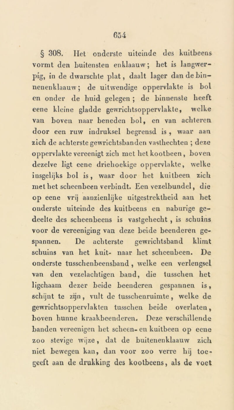 65 4 § 308. Het onderste uiteinde des kuitbeens vormt den buitensten enklaauw; het is langwer- pig, in de dwarschte plat, daalt lager dandebin- nenenklaauw ; de uitwendige oppervlakte is bol en onder de huid gelegen ; de binnenste beeft eene kleine gladde gevvricbtsoppervlakle, welke van boven naar beneden bol, en van achteren, door een ruw indruksel begrensd is , waar aan zich de achterste gewrichtsbanden vasthechten ; deze oppervlakte vereenigt zich met het kootbeen , boven dezelve ligt eene driehoekige oppervlakte, welke insgelijks bol is, waar door het kuitbeen zich met het scheenbeen verbindt. Een vezelbundel, die op eene vrij aanzienlijke uitgestrektheid aan het onderste uiteinde des kuitbeens en naburige ge- deelte des scheenbeens is vastgehecht , is schuins voor de vereeniging van deze beide beenderen ge- spannen. De achterste gewrichtsband klimt schuins van het kuit- naar het scheenbeen. De onderste tusschenbeensband , welke een verlengsel van den vezelachtigcn band, die tusschen het ligchaam dezer beide beenderen gespannen is, schijnt te zijn , vult de lusschenruimte , welke de gewrichtsoppervlaklen tusschen beide overlaten, boven hunne kraakbeenderen. Deze verschillende banden vereenigen het scheen- en kuitbeen op eene zoo stevige wijze, dat de buitenenklaauw zich niet bewegen kan, dan voor zoo verre hij toe- geeft aan de drukking des kootbeens, als de voet