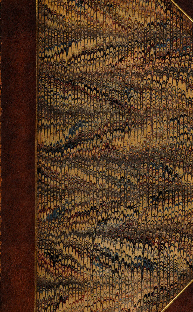 No text description is available for this image