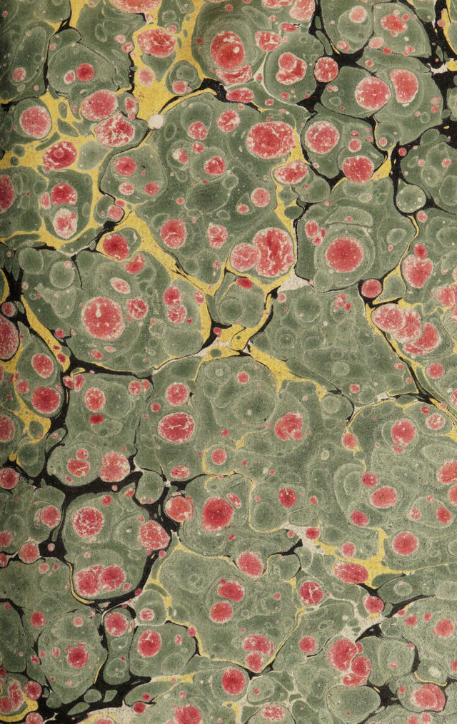 No text description is available for this image