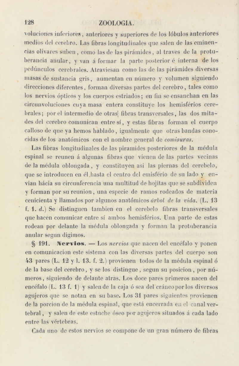 'ulucioiíos inferiores, anteriores y superiores de los lóbulos anteriores medios del cerebro. Las libras longitudinales que salen de las eminen- cias olivares suben , corno las de las pirámides, al través de la protu- berancia anular, y van á formar la parte posterior é interna délos pedúnculos cerebrales. Atraviesan como las de las pirámides diversas masas de sustancia gris, aumentan en número y volumen siguiendo direcciones diferentes, forman diversas partes del cerebro, tales como los nervios ópticos y los cuerpos estriados; en fin se ensanchan en las circunvoluciones cuya masa entera constituye los hemisferios cere- brales; por el intermedio de otrasj fibras transversales, las dos mita- des del cerebro comunican entre sí, y estas fibras forman el cuerpo calloso de que ya hemos hablado, igualmente que otras bandas cono- cidas de los anatómicos con el nombre general de comisuras. Las fibras longitudinales de las pirámides posteriores de la médula espinal se reúnen á algunas fibras que vienen de las partes vecinas de la médula oblongada, y constituyen asi las piernas del cerebelo, que se introducen en él hasta el centro del emisfério de su lado y en- vían hácia su circunferencia una multitud de hojitas que se subdividen y forman por su reunion, una especie de ramos rodeados de materia cenicienta y llamados por algunos anatómicos árbol de la vida. (L. 13 f. 1. d.) Se distinguen también en el cerebelo fibras transversales que hacen comunicar entre sí ambos hemisférios. Una parte de estas rodean por delante la médula oblongada y forman la protuberancia anular según digimos. § 191. hervios. — Los nervios que nacen del encéfalo y ponen en comunicación este sistema con las diversas partes del cuerpo son k3 pares (L. 12 y 1. 13. f. 2.) provienen todos de la médula espinal ó de la base del cerebro, y se los distingue, según su posición , por nú- meros, siguiendo de delante atras. Los doce pares primeros nacen del encéfalo (L. 13 f. 1) y salen de la caja ó sea del cráneo por los diversos agujeros que se notan en su base. Los 31 pares siguientes provienen de la porción de la médula espinal, que está encerrada en el canal ver- tebral , y salen de este estuche óseo por agujeros situados á cada lado entre las vértebras. Cada uno de estos nervios se compone de un gran número de fibras