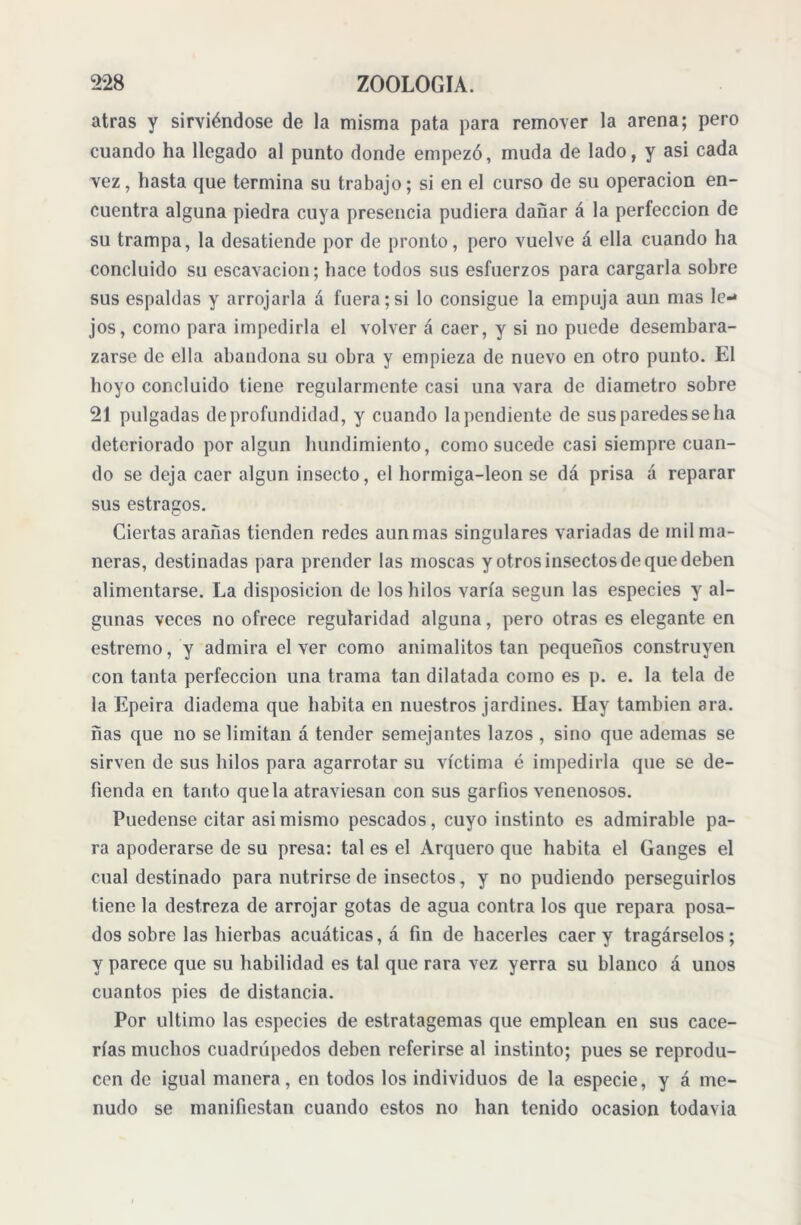 atras y sirviéndose de la misma pata para remover la arena; pero cuando ha llegado al punto donde empezó, muda de lado, y asi cada vez, hasta que termina su trabajo; si en el curso de su operación en- cuentra alguna piedra cuya presencia pudiera dañar á la perfección de su trampa, la desatiende por de pronto, pero vuelve á ella cuando ha concluido su escavacion; hace todos sus esfuerzos para cargarla sobre sus espaldas y arrojarla á fuera;si lo consigue la empuja aun mas le-* jos, como para impedirla el volver á caer, y si no puede desembara- zarse de ella abandona su obra y empieza de nuevo en otro punto. El hoyo concluido tiene regularmente casi una vara de diámetro sobre 21 pulgadas de profundidad, y cuando la pendiente de sus paredes se ha deteriorado por algún hundimiento, como sucede casi siempre cuan- do se deja caer algún insecto, el hormiga-leon se dá prisa á reparar sus estragos. Ciertas arañas tienden redes aun mas singulares variadas de mil ma- neras, destinadas para prender las moscas y otros insectos de que deben alimentarse. La disposición de los hilos varía según las especies y al- gunas veces no ofrece regularidad alguna, pero otras es elegante en estremo, y admira elver como animalitos tan pequeños construyen con tanta perfección una trama tan dilatada como es p. e. la tela de la Epeira diadema que habita en nuestros jardines. Hay también ara. ñas que no se limitan á tender semejantes lazos , sino que ademas se sirven de sus hilos para agarrotar su víctima é impedirla que se de- fienda en tanto que la atraviesan con sus garfios venenosos. Puedense citar asi mismo pescados, cuyo instinto es admirable pa- ra apoderarse de su presa: tal es el Arquero que habita el Ganges el cual destinado para nutrirse de insectos, y no pudiendo perseguirlos tiene la destreza de arrojar gotas de agua contra los que repara posa- dos sobre las hierbas acuáticas, á fin de hacerles caer y tragárselos; y parece que su habilidad es tal que rara vez yerra su blanco á unos cuantos pies de distancia. Por ultimo las especies de estratagemas que emplean en sus cace- rías muchos cuadrúpedos deben referirse al instinto; pues se reprodu- cen de igual manera, en todos los individuos de la especie, y á me- nudo se manifiestan cuando estos no han tenido ocasión todavía