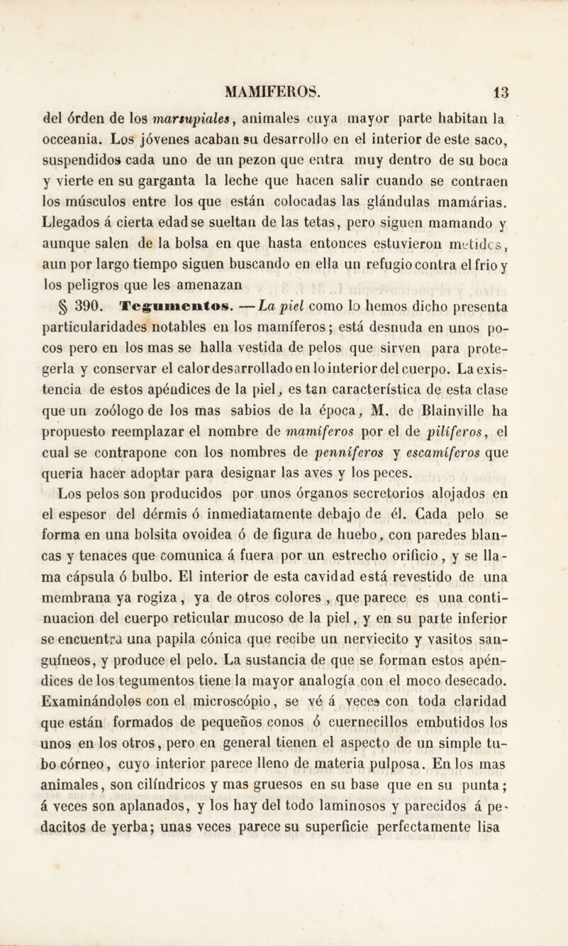 del órden de los marsupiales, animales cuya mayor parte habitan la occeania. Los jóvenes acaban su desarrollo en el interior de este saco, suspendidos cada uno de un pezón que entra muy dentro de su boca y vierte en su garganta la leche que hacen salir cuando se contraen los músculos entre los que están colocadas las glándulas mamárias. Llegados á cierta edad se sueltan de las tetas, pero siguen mamando y aunque salen de la bolsa en que hasta entonces estuvieron metidcs, aun por largo tiempo siguen buscando en ella un refugio contra el frió y los peligros que les amenazan § 390. Tegumentos. —La piel como lo liemos dicho presenta particularidades notables en los mamíferos; está desnuda en unos po- cos pero en los mas se halla vestida de pelos que sirven para prote- gerla y conservar el calor desarrollado en lo interior del cuerpo. La exis- tencia de estos apéndices de la piel, es tan característica de esta clase que un zoólogo de los mas sabios de la época, M. de Blainville ha propuesto reemplazar el nombre de mamíferos por el de pilíferos, el cual se contrapone con los nombres de penníferos y escamíferos que queria hacer adoptar para designar las aves y los peces. Los pelos son producidos por unos órganos secretorios alojados en el espesor del dérmis ó inmediatamente debajo de él. Cada pelo se forma en una bolsita ovoidea ó de figura de huebo, con paredes blan- cas y tenaces que comunica á fuera por un estrecho orificio , y se lla- ma cápsula ó bulbo. El interior de esta cavidad está revestido de una membrana ya rogiza, ya de otros colores , que parece es una conti- nuación del cuerpo reticular mucoso de la piel, y en su parte inferior se encuentra una papila cónica que recibe un nerviecito y vasitos san- guíneos, y produce el pelo. La sustancia de que se forman estos apén- dices de los tegumentos tiene la mayor analogía con el moco desecado. Examinándolos con el microscopio, se vé á veces con toda claridad que están formados de pequeños conos ó cuernecillos embutidos los unos en los otros, pero en general tienen el aspecto de un simple tu- bo córneo, cuyo interior parece lleno de materia pulposa. En los mas animales, son cilindricos y mas gruesos en su base que en su punta; á veces son aplanados, y los hay del todo laminosos y parecidos á pe* dacitos de yerba; unas veces parece su superficie perfectamente lisa