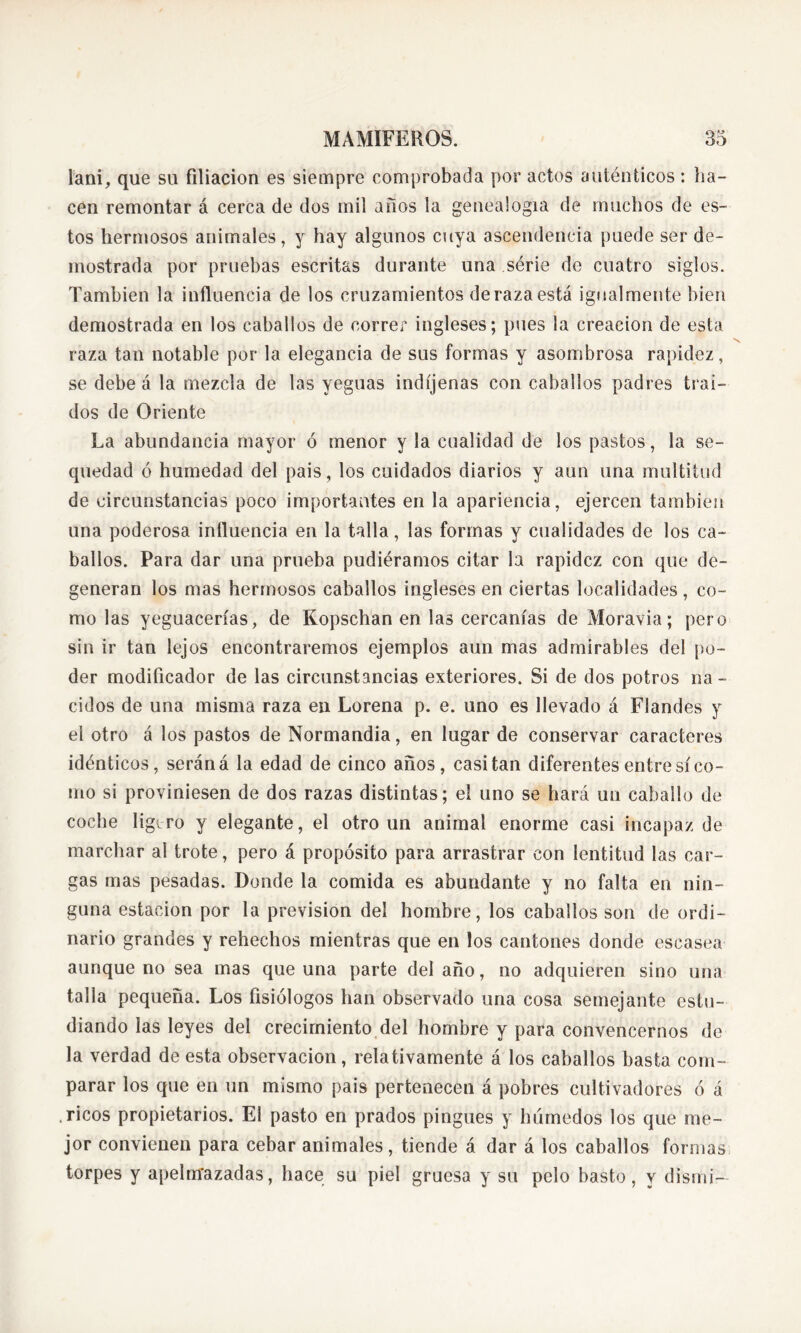 lani, que su filiación es siempre comprobada por actos auténticos: ha- cen remontar á cerca de dos mil anos la genealogía de muchos de es- tos hermosos animales, y hay algunos cuya ascendencia puede ser de- mostrada por pruebas escritas durante una série de cuatro siglos. También la influencia de los cruzamientos de raza está igualmente bien demostrada en los caballos de correr ingleses; pues la creación de esta raza tan notable por la elegancia de sus formas y asombrosa rapidez, se debe á la mezcla de las yeguas indíjenas con caballos padres traí- dos de Oriente La abundancia mayor ó menor y la cualidad de los pastos, la se- quedad ó humedad del pais, los cuidados diarios y aun una multitud de circunstancias poco importantes en la apariencia, ejercen también una poderosa influencia en la talla, las formas y cualidades de los ca- ballos. Para dar una prueba pudiéramos citar la rapidez con que de- generan los mas hermosos caballos ingleses en ciertas localidades, co- mo las yeguacerías, de Iíopschan en las cercanías de Moravia; pero sin ir tan lejos encontraremos ejemplos aun mas admirables del po- der modificador de las circunstancias exteriores. Si de dos potros na - cidos de una misma raza en Lorena p. e. uno es llevado á Flandes y el otro á los pastos de Normandia, en lugar de conservar caracteres idénticos, serán á la edad de cinco años, casi tan diferentes entre sí co- mo si proviniesen de dos razas distintas; el uno se hará un caballo de coche ligoro y elegante, el otro un animal enorme casi incapaz de marchar al trote, pero á propósito para arrastrar con lentitud las car- gas mas pesadas. Donde la comida es abundante y no falta en nin- guna estación por la prevision del hombre, los caballos son de ordi- nario grandes y rehechos mientras que en los cantones donde escasea aunque no sea mas que una parte delaño, no adquieren sino una talla pequeña. Los fisiólogos han observado una cosa semejante estu- diando las leyes del crecimiento del hombre y para convencernos de la verdad de esta observación, relativamente á los caballos basta com- parar los que en un mismo pais pertenecen á pobres cultivadores ó á .ricos propietarios. El pasto en prados pingues y húmedos los que me- jor convienen para cebar animales, tiende á dar á los caballos formas torpes y apelmazadas, hace su piel gruesa y su pelo basto, y dismi—