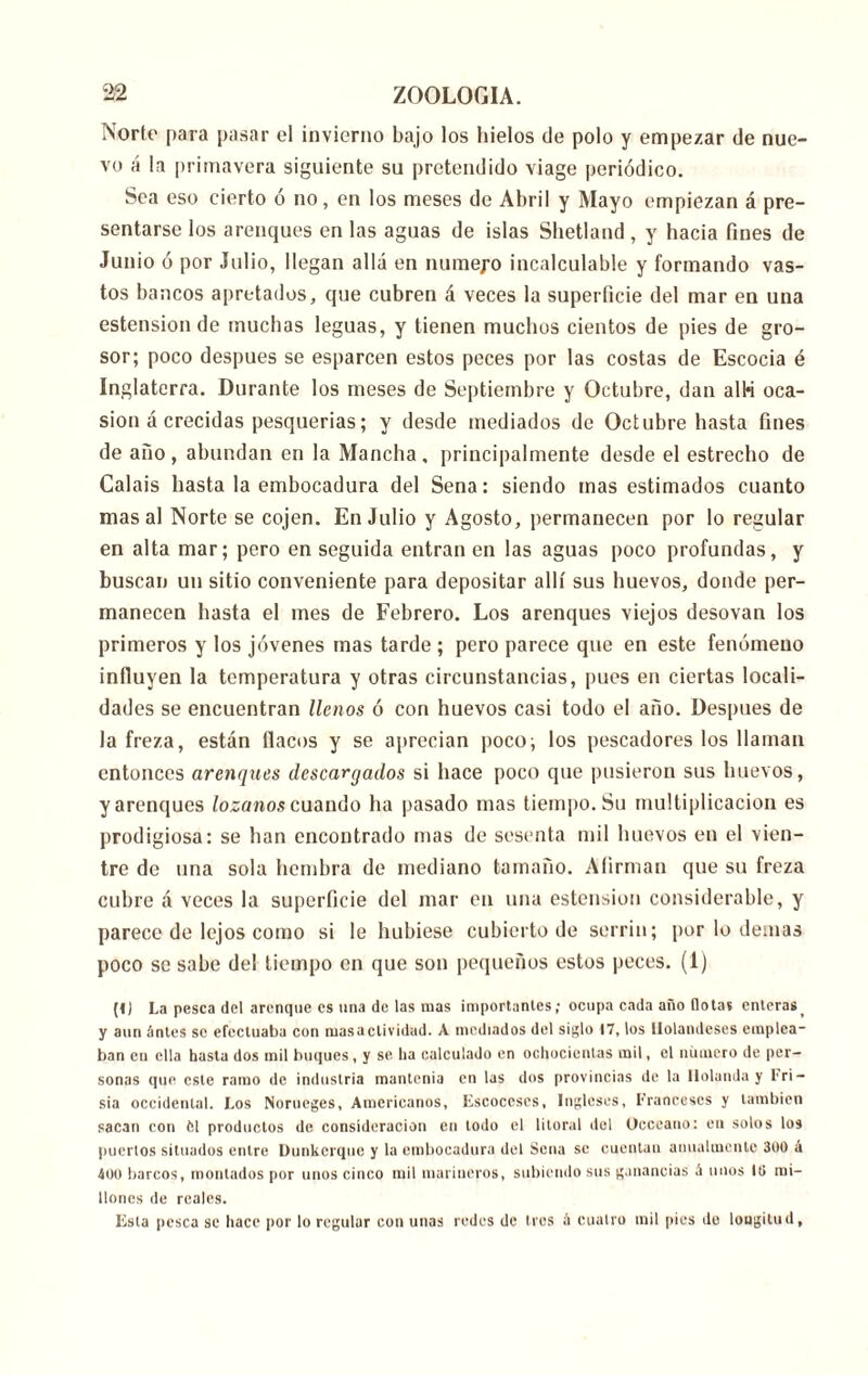 Norte para pasar el invierno bajo los hielos de polo y empezar de nue- vo á la primavera siguiente su pretendido viage periódico. Sea eso cierto ó no, en los meses de Abril y Mayo empiezan á pre- sentarse los arenques en las aguas de islas Shetland , y hacia fines de Junio ó por Julio, llegan allá en numero incalculable y formando vas- tos bancos apretados, que cubren á veces la superficie del mar en una estension de muchas leguas, y tienen muchos cientos de pies de gro- sor; poco después se esparcen estos peces por las costas de Escocia é Inglaterra. Durante los meses de Septiembre y Octubre, dan alH oca- sión á crecidas pesquerías; y desde mediados de Octubre hasta fines de año, abundan en la Mancha, principalmente desde el estrecho de Calais hasta la embocadura del Sena: siendo mas estimados cuanto mas al Norte se cojen. En Julio y Agosto, permanecen por lo regular en alta mar; pero en seguida entran en las aguas poco profundas, y buscan un sitio conveniente para depositar allí sus huevos, donde per- manecen hasta el mes de Febrero. Los arenques viejos desovan los primeros y los jóvenes mas tarde ; pero parece que en este fenómeno influyen la temperatura y otras circunstancias, pues en ciertas locali- dades se encuentran llenos ó con huevos casi todo el año. Después de la freza, están flacos y se aprecian poco; los pescadores los llaman entonces arenques descargados si hace poco que pusieron sus huevos, y arenques lozanos cuando ha pasado mas tiempo. Su multiplicación es prodigiosa: se han encontrado mas de sesenta mil huevos en el vien- tre de una sola hembra de mediano tamaño. Afirman que su freza cubre á veces la superficie del mar en una estension considerable, y parece de lejos como si le hubiese cubierto de serrín; por lo demás poco se sabe del tiempo en que son pequeños estos peces. (1) (I) La pesca del arenque es una de las mas importantes; ocupa cada auo Ilotas enteras f y aun ántes so efectuaba con masactividad. A mediados del siglo 17, los Holandeses emplea- ban en ella hasta dos mil buques, y se lia calculado en ochocientas mil, el número de per- sonas que este ramo de industria mantenía en las dos provincias de la Holanda y I'ri- sia occidental. Los Norueges, Americanos, Escoceses, Ingleses, Erancescs y también sacan con ft! productos de consideración en lodo el litoral del Oeceano: en solos los puertos situados entre Dunkerque y la embocadura del Sena se cuentan anualmente 300 á 400 barcos, montados por unos cinco mil marineros, subiendo sus ganancias .i unos IG mi- llones de reales. Esta pesca se hace por lo regular con unas redes de Iros ¡i cuatro mil pies de longitud.
