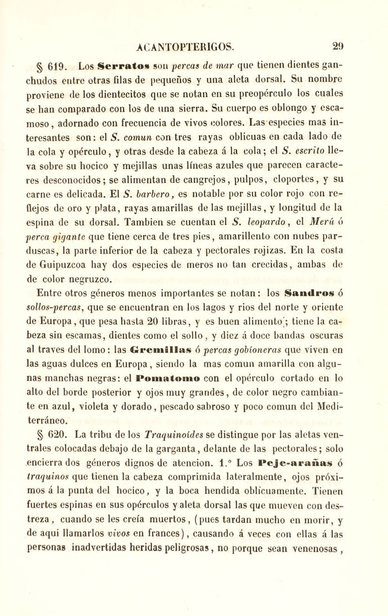 § 619. Los Serrato» son percas de mar que tienen dientes gan- chudos entre otras filas de pequeños y una aleta dorsal. Su nombre proviene de los dientecitos que se notan en su preopérculo los cuales se han comparado con los de una sierra. Su cuerpo es oblongo y esca- moso, adornado con frecuencia de vivos colores. Las especies mas in- teresantes son: el S. común con tres rayas oblicuas en cada lado de la cola y opérculo, y otras desde la cabeza á la cola; el S. escrito lle- va sobre su hocico y mejillas unas líneas azules que parecen caracte- res desconocidos; se alimentan de cangrejos, pulpos, cloportes, y su carne es delicada. El S. barbero, es notable por su color rojo con re- flejos de oro y plata, rayas amarillas de las mejillas, y longitud de la espina de su dorsal. También se cuentan el S. leopardo, el Mera ó perca gigante que tiene cerca de tres pies, amarillento con nubes par- duscas, la parte inferior de la cabeza y pectorales rojizas. En la costa de Guipúzcoa hay dos especies de meros no tan crecidas, ambas de de color negruzco. Entre otros géneros menos importantes se notan: los Sandros ó sollos-percas, que se encuentran en los lagos y rios del norte y oriente de Europa, que pesa hasta 20 libras, y es buen alimento'; tiene la ca- beza sin escamas, dientes como el sollo, y diez á doce bandas oscuras al través del lomo: las Crcmillas ó percas gobíoneras que viven en las aguas dulces en Europa, siendo la mas común amarilla con algu- nas manchas negras: el Pomatomo con el opérculo cortado en lo alto del borde posterior y ojos muy grandes, de color negro cambian- te en azul, violeta y dorado, pescado sabroso y poco común del Medi- terráneo. § 620. La tribu de los Traquinoides se distingue por las aletas ven- trales colocadas debajo de la garganta, delante de las pectorales; solo encierra dos géneros dignos de atención. l.° Los I*cjc-ar¿iñas> ó traguinos que tienen la cabeza comprimida lateralmente, ojos próxi- mos á la punta del hocico, y la boca hendida oblicuamente. Tienen fuertes espinas en sus opérculos y aleta dorsal las que mueven con des- treza , cuando se les creía muertos, (pues tardan mucho en morir, y de aqui llamarlos vivos en francés), causando á veces con ellas á las personas inadvertidas heridas peligrosas, no porque sean venenosas ,