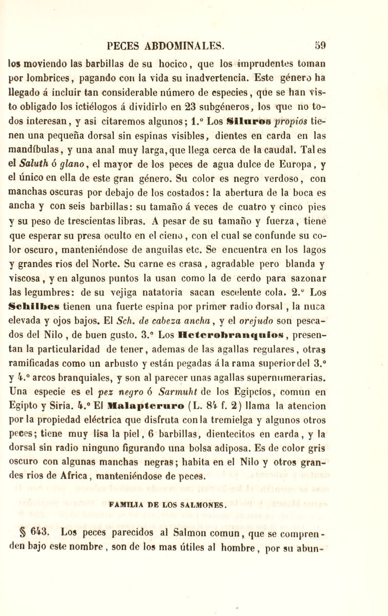 lo» moviendo las barbillas de su hocico, que los imprudentes toman por lombrices, pagando con la vida su inadvertencia. Este género ha llegado á incluir tan considerable número de especies, que se han vis- to obligado los ictiélogos á dividirlo en 23 subgéneros, los que no to- dos interesan, y asi citaremos algunos; l.° Los Siluros propios tie- nen una pequeña dorsal sin espinas visibles, dientes en carda en las mandíbulas, y una anal muy larga, que llega cerca de la caudal. Tales el Saluth ó glano, el mayor de los peces de agua dulce de Europa, y el único en ella de este gran género. Su color es negro verdoso, con manchas oscuras por debajo de los costados: la abertura de la boca es ancha y con seis barbillas: su tamaño á veces de cuatro y cinco pies y su peso de trescientas libras. A pesar de su tamaño y fuerza, tiene que esperar su presa oculto en el cieno , con el cual se confunde su co- lor oscuro, manteniéndose de anguilas etc. Se encuentra en los lagos y grandes rios del Norte. Su carne es crasa , agradable pero blanda y viscosa, yen algunos puntos la usan como la de cerdo para sazonar las legumbres: de su vejiga natatoria sacan escelente cola. 2.“ Los Schilbes tienen una fuerte espina por primer radio dorsal , la nuca elevada y ojos bajos. El Sch. de cabeza ancha, y el orejudo son pesca- dos del Nilo , de buen gusto. 3.° Los Hctcrotirnnquios, presen- tan la particularidad de tener, ademas de las agallas regulares, otras ramificadas como un arbusto y están pegadas ála rama superior del 3.° y 4.° arcos branquiales, y son al parecer unas agallas supernumerarias. Una especie es el pez negro ó Sarmuht de los Egipcios, común en Egipto y Siria. 4.° El Malapteruro (L. 84 f. 2) llama la atención por la propiedad eléctrica que disfruta con la tremielga y algunos otros peces; tiene muy lisa la piel, 6 barbillas, dientecitos en carda, y la dorsal sin radio ninguno figurando una bolsa adiposa. Es de color gris oscuro con algunas manchas negras; habita en el Nilo y otros gran- des rios de Africa, manteniéndose de peces. FAMILIA DE LOS SALMONES. § 643. Los peces parecidos al Salmon común, que se compren- den bajo este nombre , son de los mas útiles al hombre, por su abun-