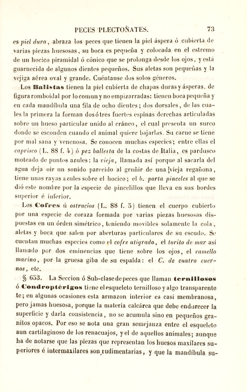 es piel dura, abraza los peces que tienen la piel áspera ó cubierta (Je varias piezas huesosas, su boca es pequeña y colocada en el estremo de un hocico piramidal ó cónico que se prolonga desde los ojos, y está guarnecida de algunos dientes pequeños. Sus aletas son pequeñas y la vejiga aérea oval y grande. Cuéntanse dos solos géneros. Los ISnSifrtas tienen la piel cubierta de chapas duras y ásperas, de figura romboidal por lo común y no empizarradas: tienen boca pequeña y en cada mandíbula una fila de ocho dientes; dos dorsales, de las cua- les la primera la forman dosótres fuertes espinas derechas articuladas sobre un hueso particular unido al cráneo, el cual presenta un surco donde se esconden cuando el animal quiere bajarlas. Su carne se tiene por mal sana y venenosa. Se conocen muchas especies ; entre ellas el caprisco (L. 88 f. 4) ó pez ballesta de la costas de Italia, es pardusco moteado de puntos azules: la vieja, llamada así porque al sacarla del agua deja oir un sonido parecido al gruñir de una ¡vieja regañona, tiene unas rayas azules sobre el hocico; el b. porta pinceles al que se dió este nombre por la especie de pincelillos que lleva en sus bordes superior é inferior. Los C'oSVos ú osiracios (I,. 88 f. 5) tienen el cuerpo cubierto por una especie de coraza formada por varias piezas huesosas dis- puestas en un orden simétrico, teniendo movibles solamente la cola , alelas y boca que salen por aberturas particulares de su escudo. Se cuentan muchas especies como el cofre atigrado, el torito de mar así llamado per dos eminencias que tiene sobre los ojos, el camello marino, por la gruesa giba de su espalda: el C. de cuatro cuer- nos, etc. § G53. La Sección ó Sub-clase de peces que llaman ternillosos ó tJondroptéritiene el esqueleto ternilloso y algo transparente te; en algunas ocasiones esta armazón interior es casi membranosa, pero jamas huesosa, porque la materia calcárea que debe endurecer la superficie y darla consistencia, no se acumula sino en pequeños gra- nitos opacos. Por eso se nota una gran semejanza entre el esqueleto aun cartilaginoso de los renacuajos, y el de aquellos animales; aunque ha de notarse que las piezas que representan los huesos maxilares su- periores é intermaxilares son rudimentarias, y que la mandíbula su-