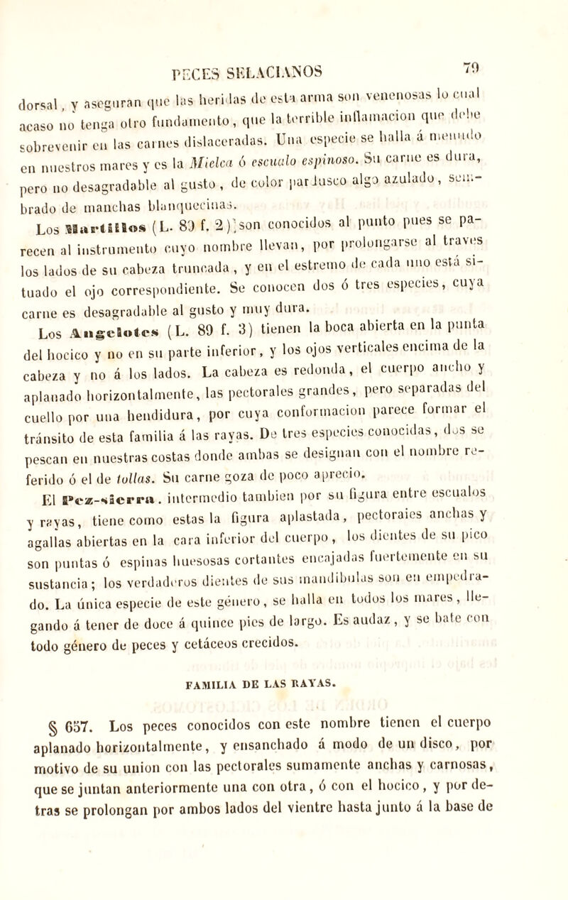 70 dorsal y aseguran que las heridas de esta arma son venenosas lo cual acaso no tenga otro fundamento, que la terrible inflamación que debe sobrevenir en las carnes dislaceradas. Una especie se baila a menudo en nuestros mares y es la Miclca ó escualo espinoso. Su carne es dura, pero no desagradable al gusto, de color pardusco algo azulado, sem- brado de manchas blanquecinas. Los Slartlllo* (L- 8'J f. 2);son conocidos al punto pues se pa- recen al instrumento cuyo nombre llevan, por prolongarse al través los lados de su cabeza truncada , y en el estremo de cada uno esta si- tuado el ojo correspondiente. Se conocen dos ó tres especies, cuya carne es desagradable al gusto y muy dura. Los Angelote* (L. 89 f. 3) tienen la boca abierta en la punta del hocico y no en su parte inferior, y los ojos verticales encima de la cabeza y no á los lados. La cabeza es redonda, el cuerpo ancho y aplanado horizon talmente, las pectorales grandes, pero separadas del cuello por una hendidura, por cuya conformación parece formar el tránsito de esta familia á las rayas. De tres especies conocidas, dos se pescan en nuestras costas donde ambas se designan con el nombre re- ferido ó el de tollas. Su carne goza de poco aprecio. El I'cz-sicrra. intermedio también por su figura entre escualos y rayas, tiene como estas la figura aplastada, pectorales anchas y agallas abiertas en la cara inferior del cuerpo, los dientes de su pico son puntas ó espinas huesosas cortantes encajadas fuertemente en su sustancia; los verdaderos dientes de sus mandíbulas son en empedra- do. La única especie de este género, se halla en todos los mares, lle- gando á tener de doce á quince pies de largo. Es audaz, y se bate con todo género de peces y cetáceos crecidos. FAMILIA DE LAS HAYAS. § 657. Los peces conocidos con este nombre tienen el cuerpo aplanado horizontalmente, y ensanchado á modo de un disco, por motivo de su union con las pectorales sumamente anchas y carnosas, que se juntan anteriormente una con otra, ó con el hocico, y por de- tras se prolongan por ambos lados del vientre hasta junto á la base de