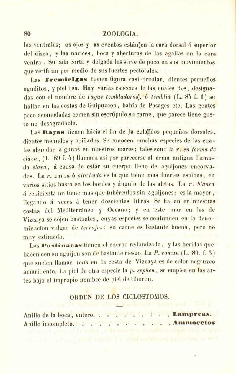 las ventrales; os ojos y •* eventos estánen la cara dorsal ó superior del disco, y las narices, boca y aberturas de las agallas en la cara ventral. Su cola corta y delgada les sirve de poco en sus movimientos que verifican por medio de sus fuertes pectorales. Las Tremielgas tienen figura casi circular, dientes pequeños aguditos, y piel lisa. Hay varias especies de las cuales dos, designa- das con el nombre de rayas tembladoras¡, ó tembliá (L. 8í f. 1) se hallan en las costas de Guipúzcoa, bahía de Pasages etc. Las gentes poco acomodadas comen sin escrúpulo su carne, que parece tiene gus- to no desagradable. Las Hayas tienen hacia el fin de da cola^dos pequeñas dorsales, dientes menudos y apiñados. Se conocen muchas especies de las cua- les abundan algunas en nuestros mares; tales son: la r. en forma de clava, (L 89 f. 4-) llamada así por parecerse al arma antigua llama- da clava, á causa de estár su cuerpo lleno de aguijones encorva- dos. La r. zarza ó pinchuda es la que tiene mas fuertes espinas, en varios sitios basta en los bordes y ángulo de las aletas. La r. blanca ó cenicienta no tiene mas que tubérculos sin aguijones; es la mayor, llegando á veces á tener doscientas libras. Se hallan en nuestras costas del Mediterráneo y Océano; y en este mar en las de Vizcaya se cojen bastantes, cuyas especies se confunden en la deno- minación vulgar de terrajas: su carne es bastante buena, pero no muy estimada. Las l»astínacas tienen el cuerpo redondeado, y las heridas que hacen con su aguijón son de bastante riesgo. La P. común (L. 89. f. 5) que suelen llamar tolla en la costa de Vizcaya es de color negruzco amarillento. La piel de otra especie la p. sephen, se emplea en las ar- tes bajo el impropio nombre de piel de tiburón. ORDEN DE LOS CICLOSTOMOS. Anillo de la boca, entero. Anillo incompleto. . . , Lampreas. . Ammocctos