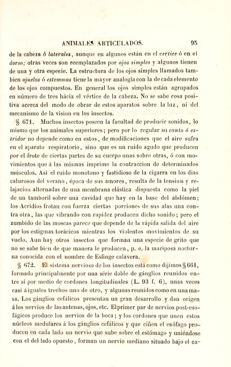 de la cabeza ó laterales, aunque en algunos están en el vértice ó en el dorso; otras veces son reemplazados por ojos simples y algunos tienen de una y otra especie. La estructura de los ojos simples llamados tam- bién ojuelos ó estemmas tiene la mayor analogía con la de cada elemento de los ojos compuestos. En general los ojos simples están agrupados en número de tres hácia el vértice de la cabeza. No se sabe cosa posi- tiva acerca del modo de obrar de estos aparatos sobre la luz, ni del mecanismo de la vision en los insectos. § 671. Muchos insectos poseen la facultad de producir sonidos, lo mismo que los animales superiores; pero por lo regular su canto ó es- tridor no depende como en estos, de modificaciones que el aire sufra en el aparato respiratorio, sino que es un ruido agudo que producen por el frote de ciertas partes de su cuerpo unas sobre otras, ó con mo- vimientos que á las mismas imprime la contracción de determinados músculos. Asi el ruido monotono y fastidioso de la cigarra en los dias calurosos del verano, época de sus amores, resulta de la tension y re- lajación alternadas de una membrana elástica dispuesta como la piel de un tamboril sobre una cavidad que hay en la base del abdomen; los Acridios frotan con fuerza ciertas porciones de sus alas una con- tra otra, las que vibrando con rapidez producen dicho sonido; pero el zumbido de las moscas parece que depende de la rápida salida del aire por los estigmas torácicos mientras los violentos movimientos de su vuelo. Aun hay otros insectos que forman una especie de grito que no se sabe bien de que manera le producen, p. e. la mariposa noctur- na conocida con el nombre de Esfinge calavera. § 672. El sistema nervioso de los insectos está como d¡jimos§661, formado principalmente por una serie doble de gánglios reunidos en- tre sí por medio de cordones longitudinales (L. 93 f. 6), unas veces casi á iguales trechos uno de otro, y algunas reunidos como en una ma- sa. Los gánglios cefálicos presentan un gran desarrollo y dan origen álos nervios de lasantenas, ojos, etc. El primer par de nervios post-eso- fágicos produce los nervios de la boca; y los cordones que unen estos núcleos medulares á los gánglios cefálicos y que ciñen el esófago pro- ducen en cada lado uu nervio que sube sobre el estómago y uniéndose con el del lado opuesto, forman un nervio mediano situado bajo el ca-