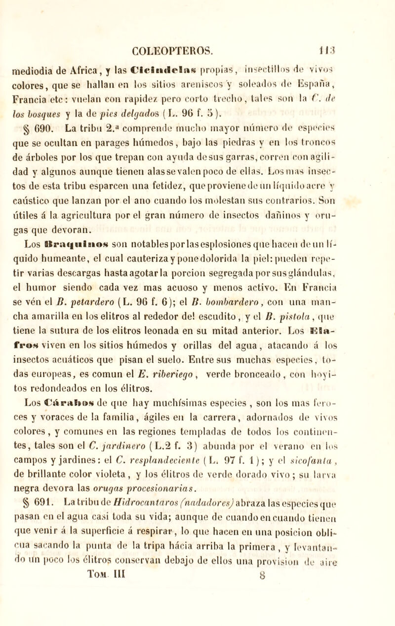 mediodía de Africa, y las ©leimlelsis propias, inseetillos de vivos colores, que se hallan en los sitios areniscos y soleados de España, Francia etc: vuelan con rapidez pero corto trecho, tales son la ('. de los bosques y la de pies delgados (L. 96 f. 5). § 690. La tribu 2.a comprende mucho mayor número de especies que se ocultan en parages húmedos, bajo las piedras y en los troncos de árboles por los que trepan con ayuda desús garras, corren con agili- dad y algunos aunque tienen alas se valen poco de ellas. Los mas insec- tos de esta tribu esparcen una fetidez, que proviene de un líquido acre y caústico que lanzan por el ano cuando los molestan sus contrarios. Son útiles á la agricultura por el gran número de insectos dañinos y oru- gas que devoran. Los BSraquinos son notables por las esplosiones que hacen deun lí- quido humeante, el cual cauteriza y pone dolorida la piel: pueden repe- tir varias descargas hasta agotar la porción segregada por sus glándulas, el humor siendo cada vez mas acuoso y menos activo. En Francia se vén el fí. petardero (L. 96 f. 6); el B. bombardero, con una man- cha amarilla en los élitros al rededor de! escudito, y el B. pistola , que tiene la sutura de los eiitros leonada en su mitad anterior. Los Kía- froa viven en los sitios húmedos y orillas del agua, atacando á los insectos acuáticos que pisan el suelo. Entre sus muchas especies, to- das europeas, es común el E. riberiego, verde bronceado, con hoyi- tos redondeados en los élitros. Los Chiralios de que hay muchísimas especies , son los mas fero- ces y voraces de la familia, ágiles en la carrera, adornados de vivos colores, y comunes en las regiones templadas de todos los continen- tes, tales son el C. jardinero (L.2 f. 3) abunda por el verano en los campos y jardines: el C. resplandeciente (L. 97 f. 1); y el sicofanta, de brillante color violeta, y los élitros de verde dorado vivo; su larva negra devora las orugas procesionarias. § 691. La tribu de Hidrocuntaros (nadadores) abraza las especies que pasan en el agua casi toda su vida; aunque de cuando en cuando tienen que venir á la superficie á respirar, lo que hacen en una posición obli- cua sacando la punta de la tripa hácia arriba la primera, y levantan- do >in poco los élitros conservan debajo de ellos una provision de aire