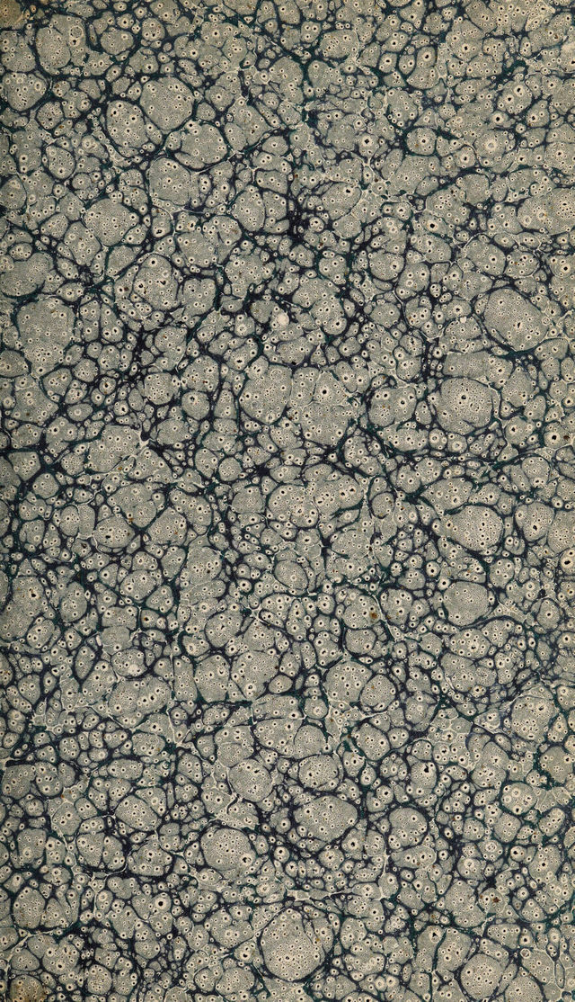 digitised image 3