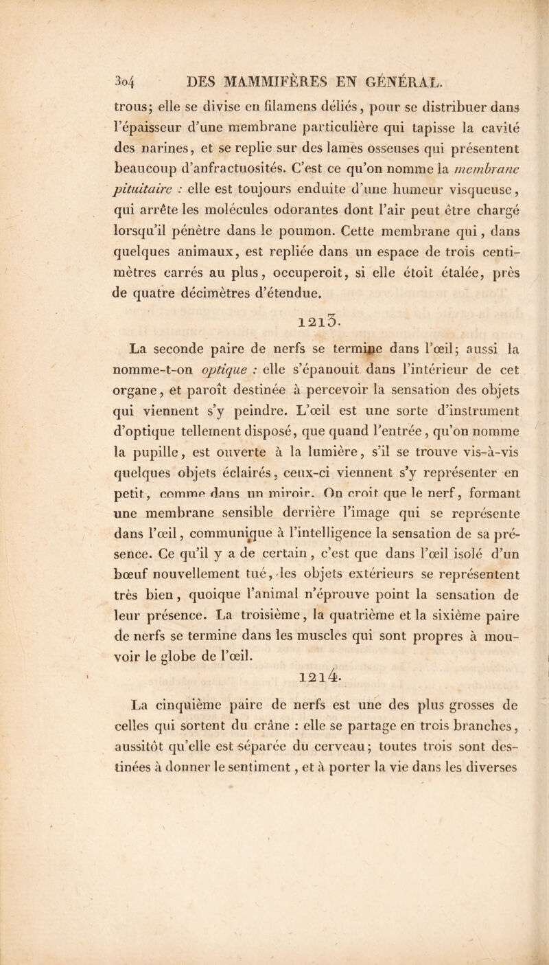 trous; elle se divise en filamens déliés, pour se distribuer dans l’épaisseur d’une membrane particulière qui tapisse la cavilé des narines, et se replie sur des lames osseuses qui présentent beaucoup d’anfractuosités. C’est ce qu’on nomme la membrane pituitaire : elle est toujours enduite d’une humeur visqueuse, qui arrête les molécules odorantes dont l’air peut être chargé lorsqu’il pénètre dans le poumon. Cette membrane qui, dans quelques animaux, est repliée dans un espace de trois centi- mètres carrés au plus, occuperoit, si elle étoit étalée, près de quatre décimètres d’étendue. 12l5. La seconde paire de nerfs se termine dans l’œil; aussi la nomme-t-on optique : elle s’épanouit dans l’intérieur de cet organe, et paroît destinée à percevoir la sensation des objets qui viennent s’y peindre. L’œil est une sorte d’instrument d’optique tellement disposé, que quand l’entrée , qu’on nomme la pupille, est ouverte à la lumière, s’il se trouve vis-à-vis quelques objets éclairés, ceux-ci viennent s’y représenter en petit, comme dans un miroir. On croit que le nerf, formant une membrane sensible derrière l’image qui se représente dans l’œil, communique à l’intelligence la sensation de sa pré- sence. Ce qu’il y a de certain , c’est que dans l’œil isolé d’un bœuf nouvellement tué, les objets extérieurs se représentent très bien, quoique l’animal n’éprouve point la sensation de leur présence. La troisième, la quatrième et la sixième paire de nerfs se termine dans les muscles qui sont propres à mou- voir le globe de l’œil. 12l4. La cinquième paire de nerfs est une des plus grosses de celles qui sortent du crâne : elle se partage en trois branches, aussitôt qu’elle est séparée du cerveau; toutes trois sont des- tinées à donner le sentiment, et à porter la vie dans les diverses