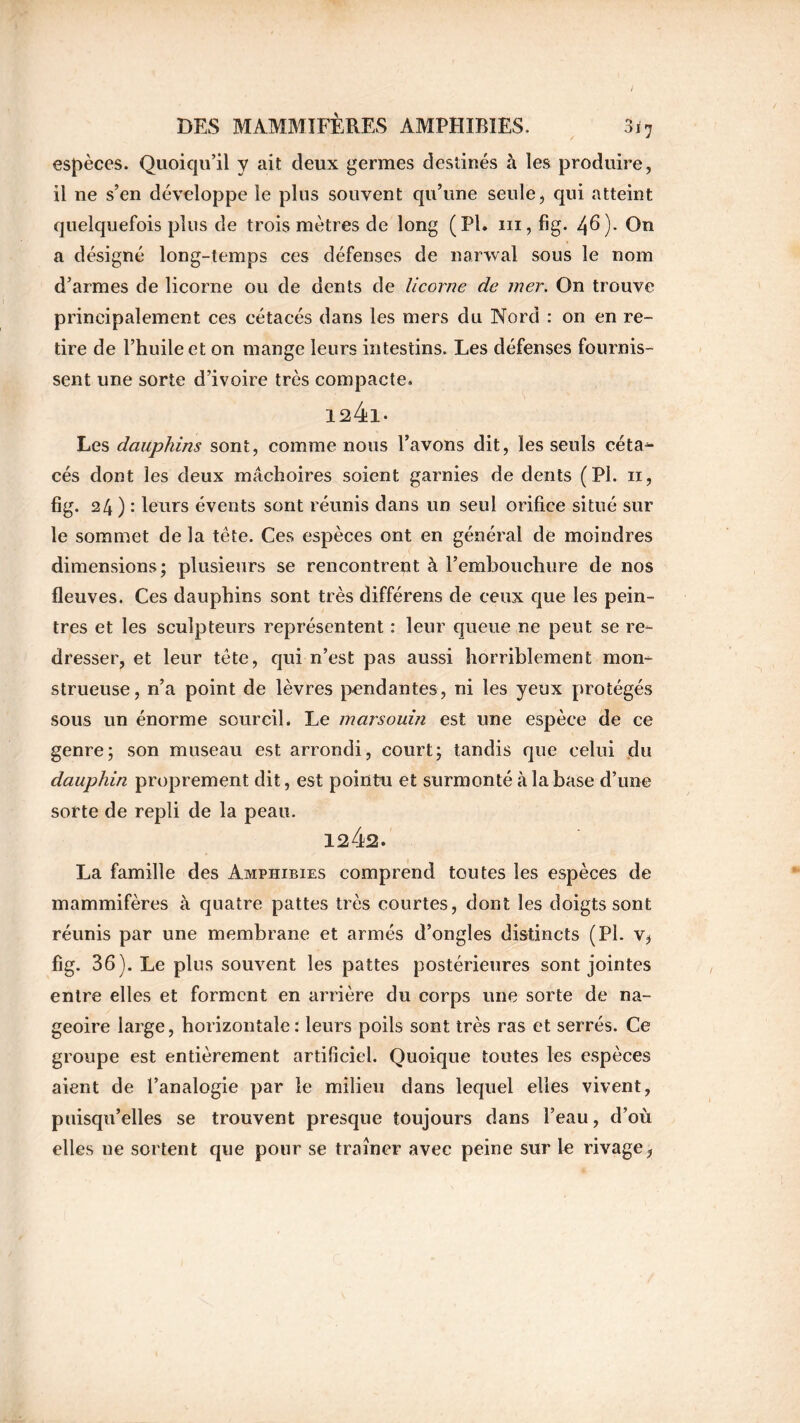 DES MAMMIFÈRES AMPHIBIES. 3ï7 espèces. Quoiqu’il y ait deux germes destinés à les produire, il ne s’en développe le plus souvent qu’une seule, qui atteint quelquefois plus de trois mètres de long (Pl. ni, fig. 46). On a désigné long-temps ces défenses de narvval sous le nom d’armes de licorne ou de dents de licorne de mer. On trouve principalement ces cétacés dans les mers du Nord : on en re- tire de l’huile et on mange leurs intestins. Les défenses fournis- sent une sorte d’ivoire très compacte. 124l- Les dauphins sont, comme nous l’avons dit, les seuls céta^- cés dont les deux mâchoires soient garnies de dents (Pl. n, fig. 24 ) : leurs évents sont réunis dans un seul orifice situé sur le sommet de la tête. Ces espèces ont en général de moindres dimensions; plusieurs se rencontrent à l’embouchure de nos fleuves. Ces dauphins sont très différens de ceux que les pein- tres et les sculpteurs représentent : leur queue ne peut se re- dresser, et leur tête, qui n’est pas aussi horriblement mon- strueuse, n’a point de lèvres pendantes, ni les yeux protégés sous un énorme sourcil. Le marsouin est une espèce de ce genre; son museau est arrondi, court; tandis que celui du dauphin proprement dit, est pointai et surmonté à la base d’une sorte de repli de la peau. 1242. La famille des Amphibies comprend toutes les espèces de mammifères à quatre pattes très courtes, dont les doigts sont réunis par une membrane et armés d’ongles distincts (Pl. v, fig. 36). Le plus souvent les pattes postérieures sont jointes entre elles et forment en arrière du corps une sorte de na- geoire large, horizontale: leurs poils sont très ras et serrés. Ce groupe est entièrement artificiel. Quoique toutes les espèces aient de l’analogie par le milieu dans lequel elles vivent, puisqu’elles se trouvent presque toujours dans l’eau, d’où elles ne sortent que pour se traîner avec peine sur le rivage,