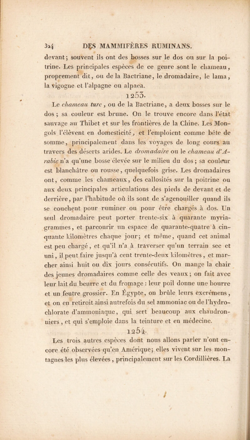 devant; souvent ils ont des bosses sur le dos ou sur la poi- trine. Les principales espèces de ce genre sont le chameau, proprement dit, ou delà Bactriane, le dromadaire, le lama, la vigogne et l’alpagne ou alpaca. 1253. Le chameau turc, ou de la Bactriane, a deux bosses sur le dos ; sa couleur est brune. On le trouve encore dans l’état sauvage au Thibet et sur les frontières de la Chine. Les Mon- gols l’élèvent en domesticité, et l’emploient comme bête de somme, principalement dans les voyages de long cours au travers des déserts arides. Le dromadaire ou le chameau d’A- rabie n’a qu’une bosse élevée sur le milieu du dos ; sa couleur est blanchâtre ou rousse, quelquefois grise. Les dromadaires ont, comme les chameaux, des callosités sur la poitrine ou aux deux principales articulations des pieds de devant et de derrière, par l’habitude où ils sont de s’agenouiller quand ils se couchent pour ruminer ou pour être chargés à dos. Un seul dromadaire peut porter trente-six à quarante myria- grammes, et parcourir un espace de quarante-quatre à cin- quante kilomètres chaque jour; et même, quand cet animal est peu chargé, et qu’il n’a à traverser qu’un terrain sec et uni, il peut faire jusqu’à cent trente-deux kilomètres, et mar- cher ainsi huit ou dix jours consécutifs. On mange la chair des jeunes dromadaires comme celle des veaux ; on fait avec leur lait du beurre et du fromage : leur poil donne une bourre et un feutre grossier. En Égypte, on brûle leurs excrémens, et on en retiroit ainsi autrefois du sel ammoniac ou de l’hydro- chlorate d’ammoniaque, qui sert beaucoup aux chaudron- niers , et qui s’emploie dans la teinture et en médecine. 12 54 Les trois autres espèces dont nous allons parler n’ont en- core été observées qu’en Amérique; elles vivent sur les mon- tagnes les plus élevées , principalement sur les Cordillières. La