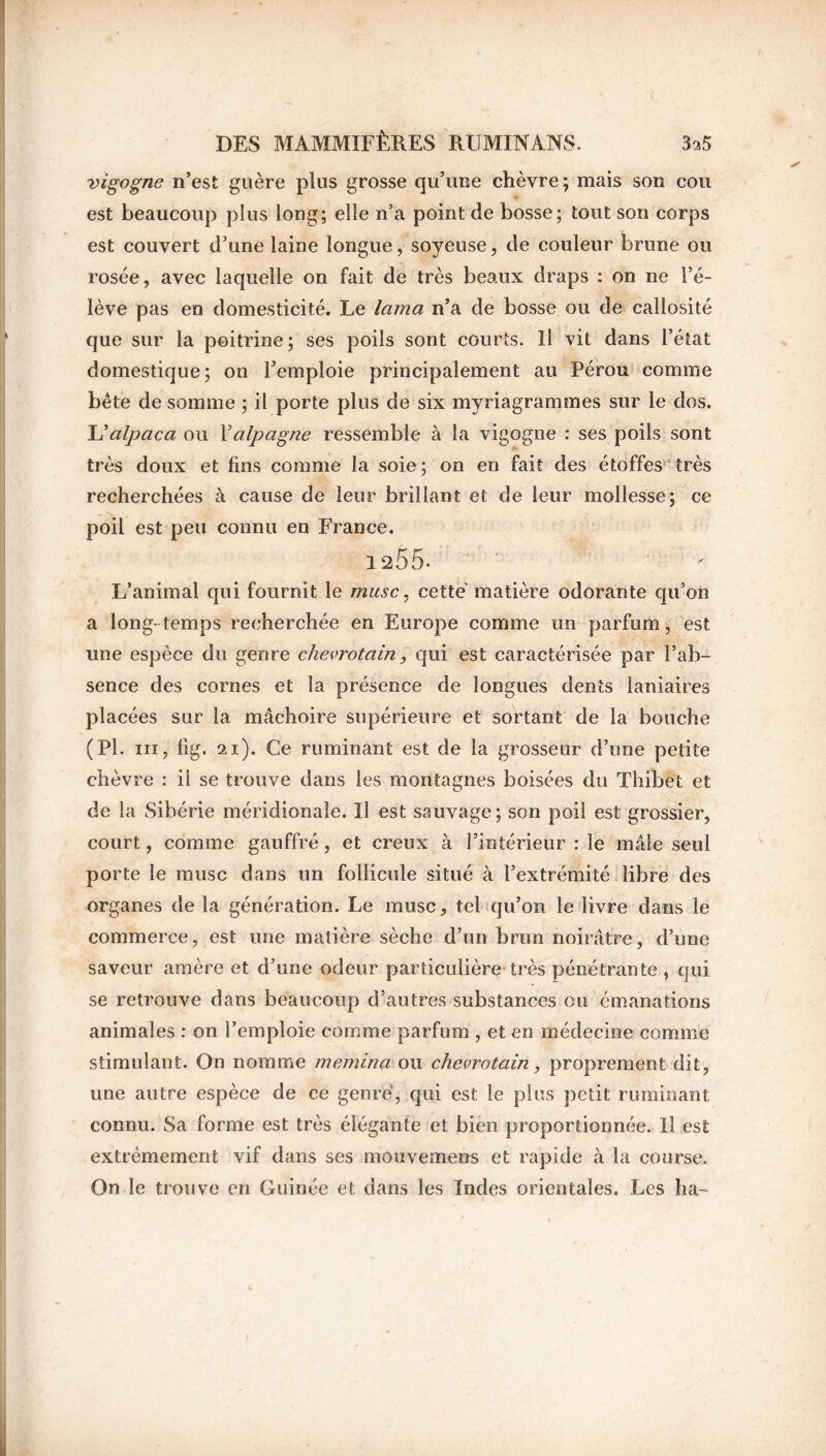 -vigogne n’est guère plus grosse qu’une chèvre ; mais son cou est beaucoup plus long; elle n’a point de bosse; tout son corps est couvert d’une laine longue, soyeuse, de couleur brune ou rosée, avec laquelle on fait de très beaux draps : on ne l’é- lève pas en domesticité. Le lama n’a de bosse ou de callosité que sur la poitrine; ses poils sont courts. I! vit dans l’état domestique; on l’emploie principalement au Pérou comme bête de somme ; il porte plus de six myri a grammes sur le dos. YJalpaca ou Yalpagne ressemble à la vigogne : ses poils sont très doux et fins comme la soie; on en fait des étoffes très recherchées à cause de leur brillant et de leur mollesse; ce poil est peu connu en France. 1255. L’animal qui fournit le musc, cette matière odorante qu’on a long-temps recherchée en Europe comme un parfum, est une espèce du genre clievrotain, qui est caractérisée par l’ab- sence des cornes et la présence de longues dents laniaires placées sur la mâchoire supérieure et sortant de la bouche (PL ni, Fig. 21). Ce ruminant est de la grosseur d’une petite chèvre : il se trouve dans les montagnes boisées du Thibet et de la Sibérie méridionale. Il est sauvage; son poil est grossier, court, comme gauffré, et creux à l’intérieur : le mâle seul porte le musc dans un follicule situé à l’extrémité libre des organes de la génération. Le musc, tel qu’on le livre dans le commerce, est une matière sèche d’un brun noirâtre, d’une saveur amère et d’une odeur particulière très pénétrante , qui se retrouve dans beaucoup d’autres substances ou émanations animales : on l’emploie comme parfum , et en médecine comme stimulant. On nomme memina ou chevrotain, proprement dit, une autre espèce de ce genre, qui est le plus petit ruminant connu. Sa forme est très élégante et bien proportionnée. Il est extrêmement vif dans ses mouvemens et rapide à la course. On le trouve en Guinée et dans les Indes orientales. Les ha-