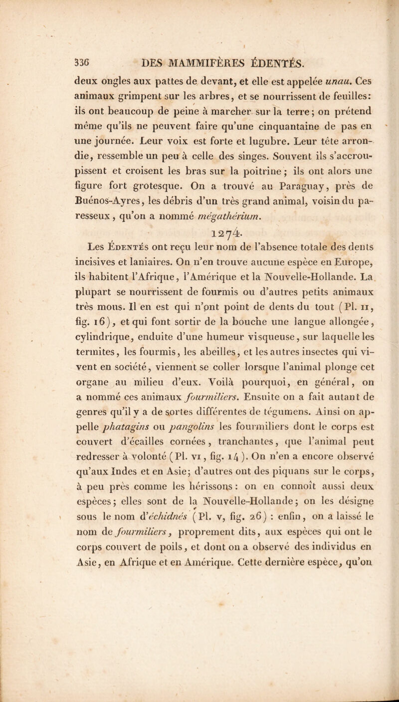 336 DES MAMMIFÈRES ÉDENTÉS. deux ongles aux pattes de devant, et elle est appelée unau. Ces animaux grimpent sur les arbres, et se nourrissent de feuilles: / ils ont beaucoup de peine à marcher sur la terre; on prétend même qu’ils ne peuvent faire qu’une cinquantaine de pas en une journée. Leur voix est forte et lugubre. Leur tête arron- die, ressemble un peu à celle des singes. Souvent ils s’accrou- pissent et croisent les bras sur la poitrine ; ils ont alors une figure fort grotesque. On a trouvé au Paraguay, près de Buénos-Ayres, les débris d’un très grand animal, voisin du pa- resseux , qu’on a nommé mégathérium. 1274. Les Edentés ont reçu leur nom de l’absence totale des dents incisives et laniaires. On n’en trouve aucune espèce en Europe, ils habitent l’Afrique, l’Amérique et la Nouvelle-Hollande. La plupart se nourrissent de fourmis ou d’autres petits animaux très mous. Il en est qui n’pnt point de dents du tout (PL 11, fig. 16), et qui font sortir de la bouche une langue allongée, cylindrique, enduite d’une humeur visqueuse, sur laquelle les termites, les fourmis, les abeilles, et les autres insectes qui vi- vent en société, viennent se coller lorsque l’animal plonge cet organe au milieu d’eux. Voilà pourquoi, en général, on a nommé ces animaux fourmiliers. Ensuite on a fait autant de genres qu’il y a de sortes différentes de tégumens. Ainsi on ap- pelle phatagins ou pangolins les fourmiliers dont le corps est couvert d’écailles cornées, tranchantes, que l’animal peut redresser à volonté (Pl. vi, fig. 14 )• On n’en a encore observé qu’aux Indes et en Asie; d’autres ont des piquans sur le corps, à peu près comme ies hérissons : on en connoît aussi deux espèces; elles sont de la Nouvelle-Hollande; on les désigne sous le nom d’échidnés ( Pl. v, fig. 26) : enfin, on a laissé le nom de fourmiliers, proprement dits, aux espèces qui ont le corps couvert de poils, et dont on a observé des individus en Asie, en Afrique et en Amérique. Cette dernière espèce, qu’on