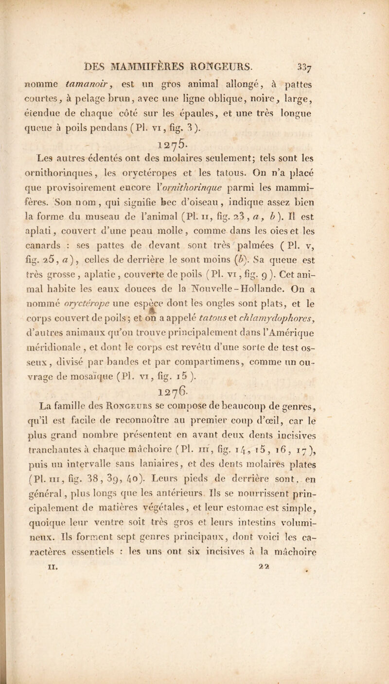 nomme tamanoir, est un gros animal allongé, à pattes courtes, à pelage brun, avec une ligne oblique, noire, large, étendue de chaque côté sur les épaules, et une très longue queue à poils pendans (Pl. vi, fig. 3). 1276. Le9 autres édentés ont des molaires seulement; tels sont les ornithorinques, les oryctéropes et les tatous. On n’a placé que provisoirement encore Yornithorinque parmi les mammi- fères. Son nom, qui signifie bec d’oiseau, indique assez bien la forme du museau de l’animal (PL 11, fig. , a, b). Il est aplati, couvert d’une peau molle, comme dans les oies et les canards : ses pattes de devant sont très palmées ( PL v, fig. 25, «), celles de derrière le sont moins (b). Sa queue est très grosse , aplatie , couverte de poils ( PL vi, fig. 9 ). Cet ani- mal habite les eaux douces de la Nouvelle-Hollande. O11 a nommé oryctérope une espèce dont les ongles sont plats, et le corps couvert de poils ; et on a appelé tatous et chïamydophorcs, d’autres animaux qu’on trouve principalement dans l’Amérique méridionale , et dont le corps est revêtu d’une sorte de test os- seux, divisé par bandes et par compartimens, comme un ou- vrage de mosaïque (P) , vi, fig. i5 ). 1276- La famille des Rongeurs se compose de beaucoup de genres, qu’il est facile de reconnoître au premier coup d’œil, car le plus grand nombre présentent en avant deux dents incisives tranchantes à chaque mâchoire (Pl. m, fig. i/}, i5, 16, 17), puis un intervalle sans laniaires, et des dents molaires plates (PL ni, fig. 38,39,éo). Leurs pieds de derrière sont, en général, plus longs que les antérieurs Ils se nourrissent prin- cipalement de matières végétales, et leur estomac est simple, quoique leur ventre soit très gros et leurs intestins volumi- neux. Ils forment sept genres principaux, dont voici les ca- ractères essentiels : les uns ont six incisives à la mâchoire 11. 22